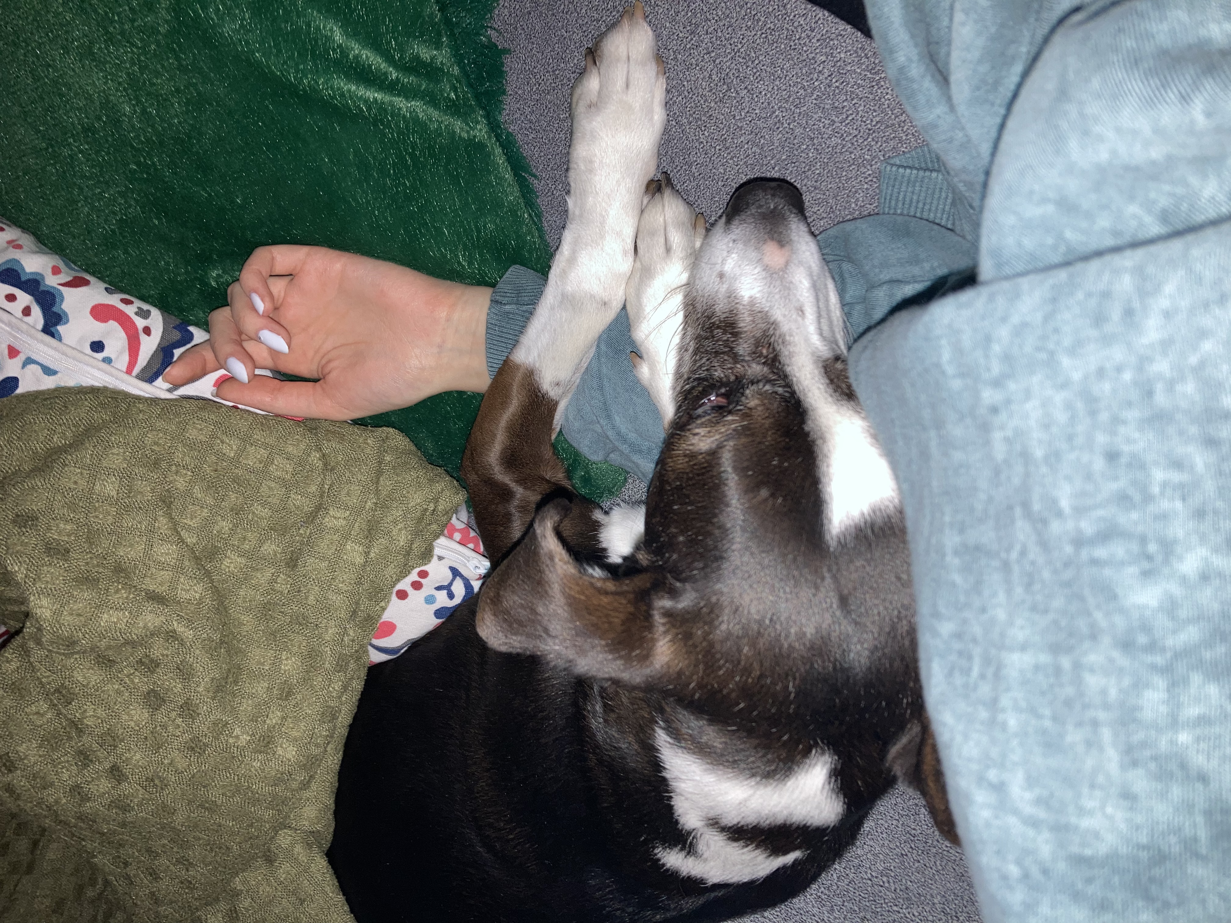 image-11