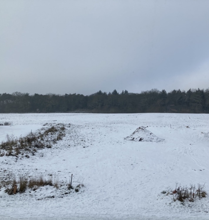 image-18