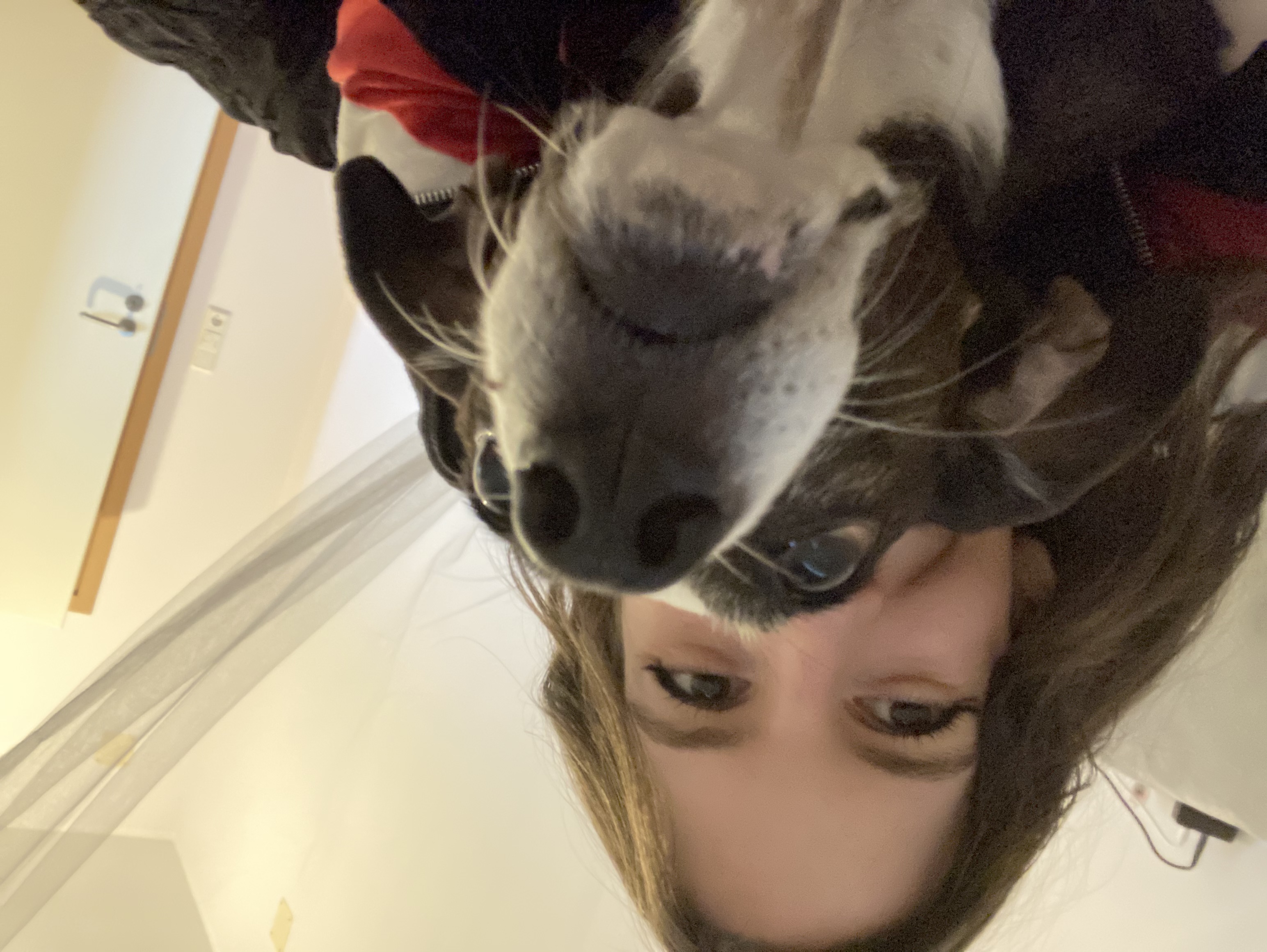 image-9