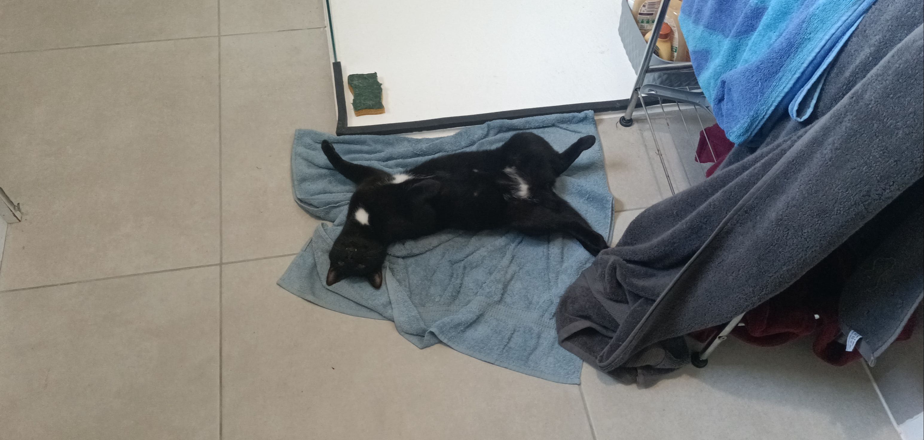 image-12