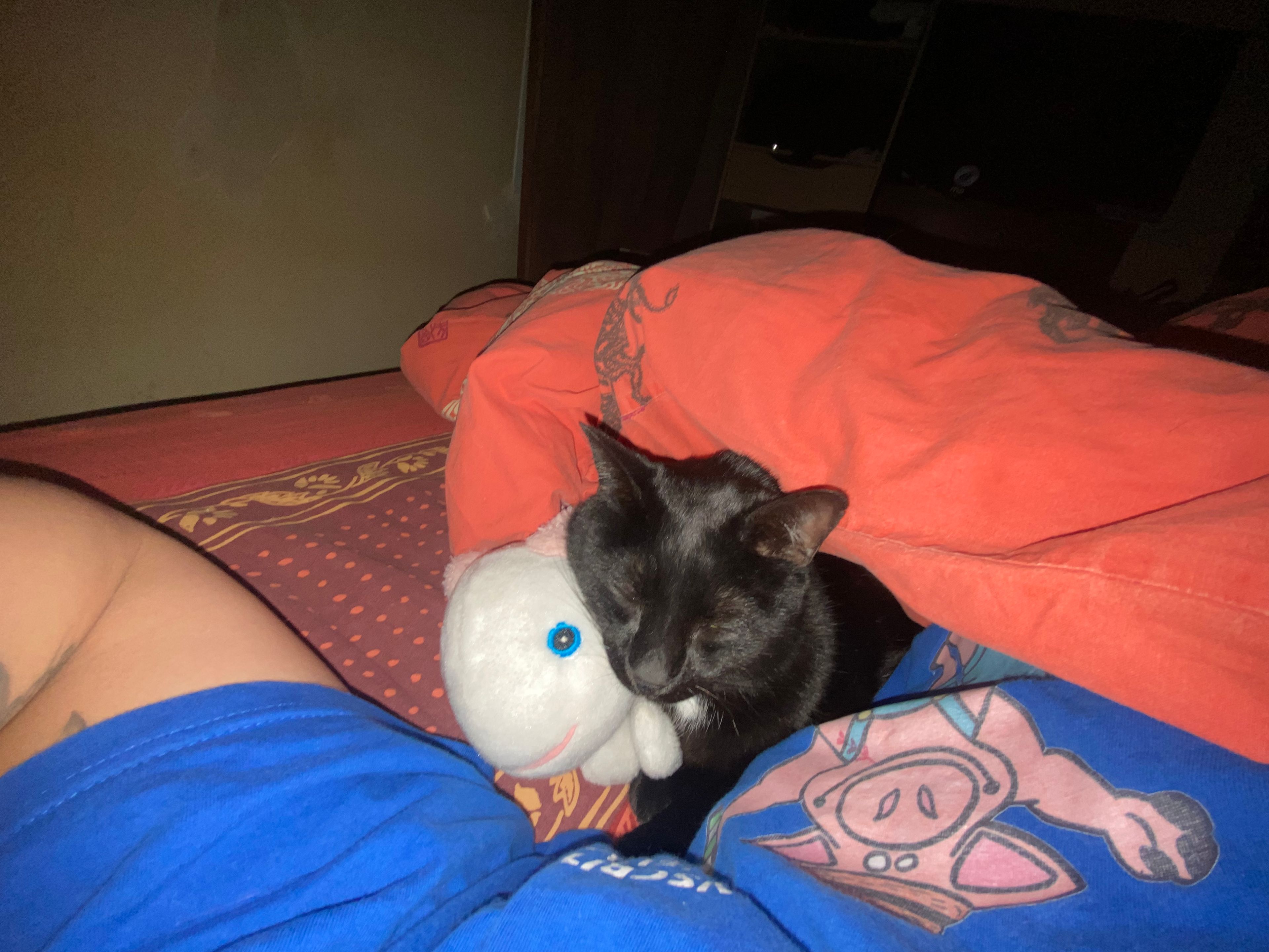 image-13