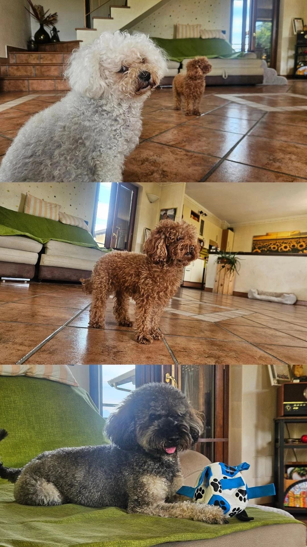 image-16