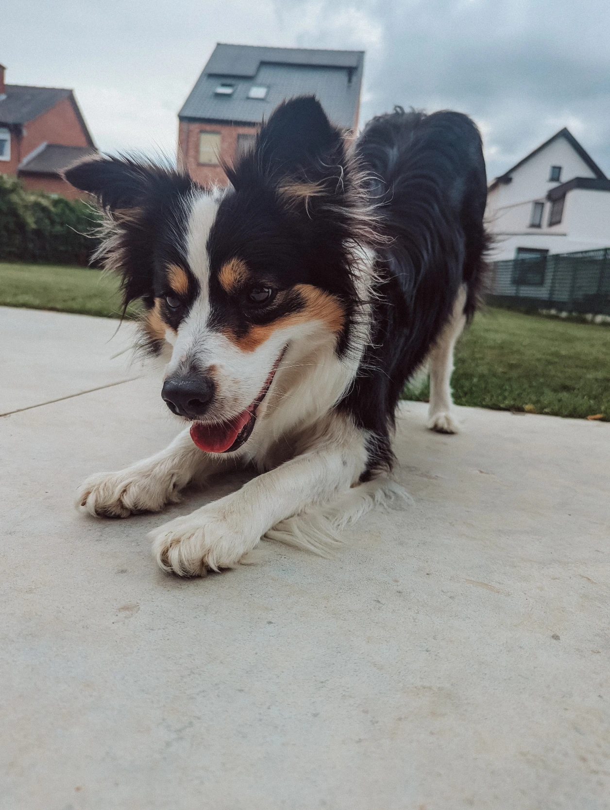 image-15