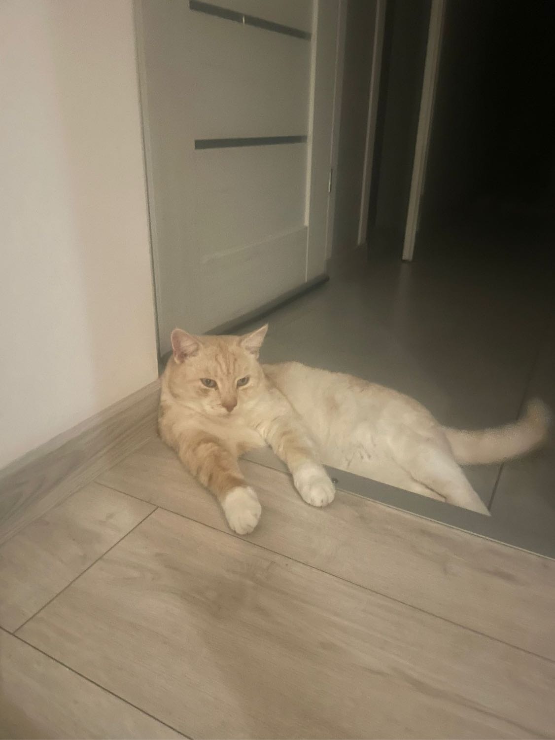 image-6