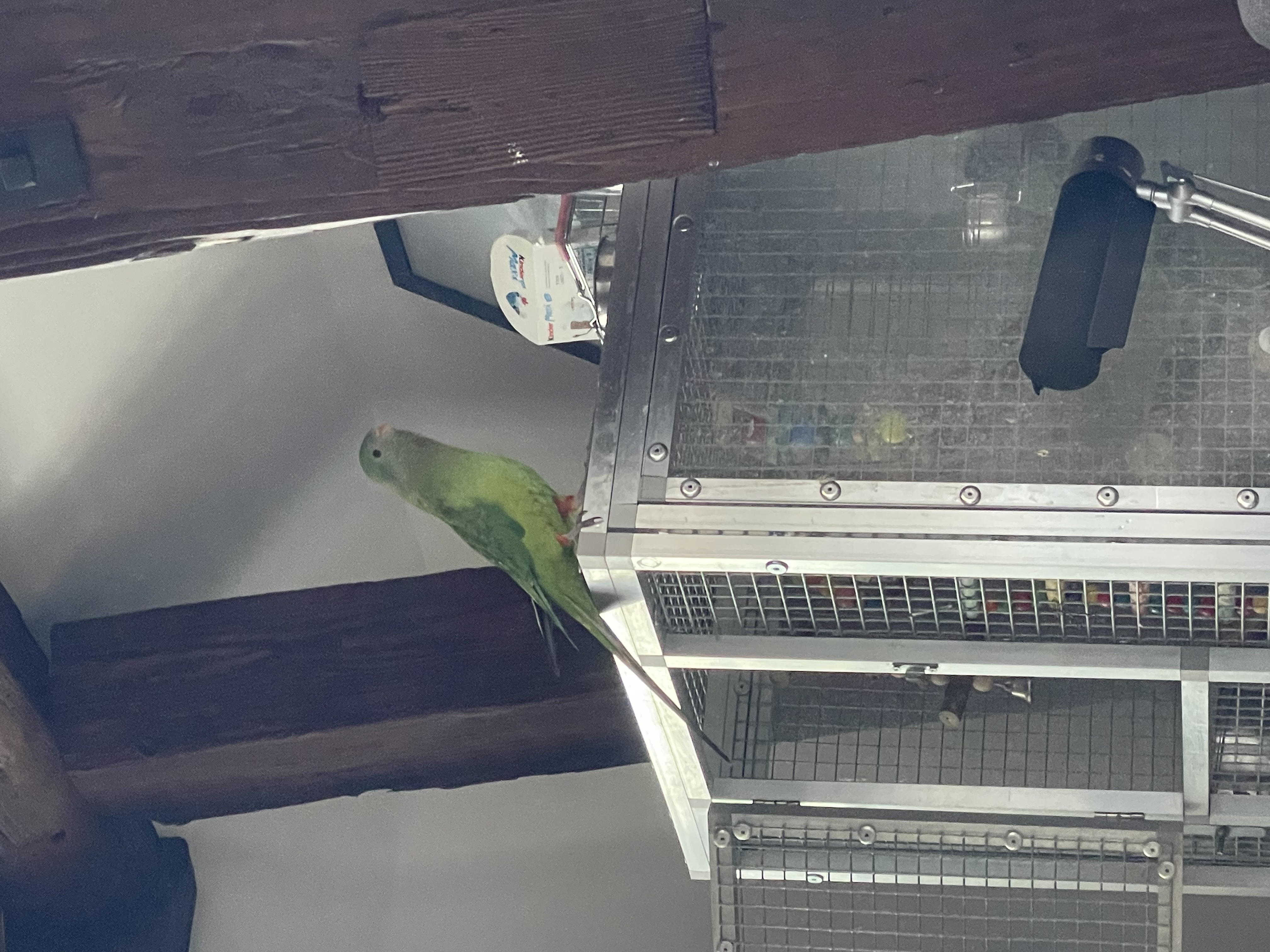 image-13