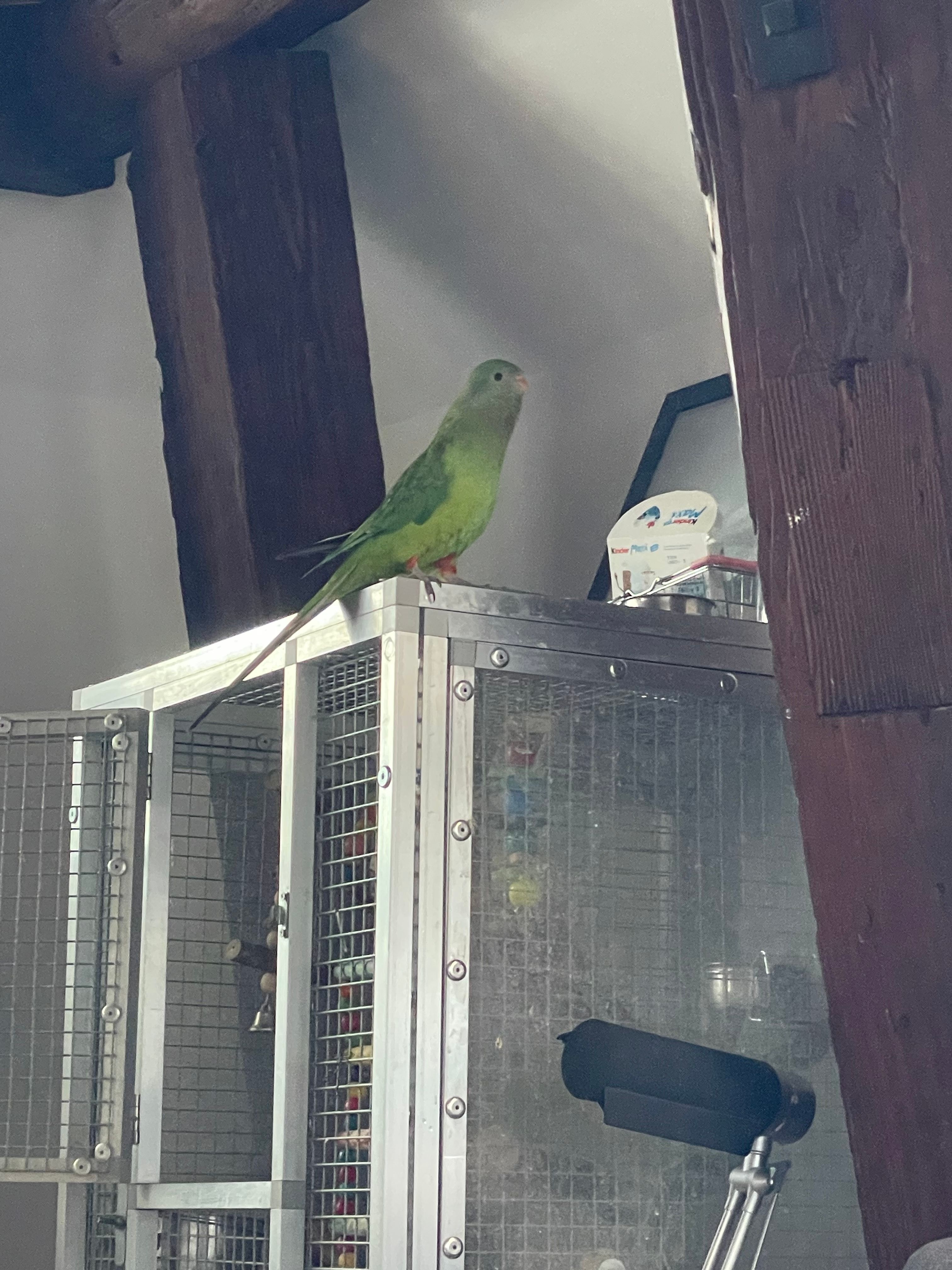 image-13