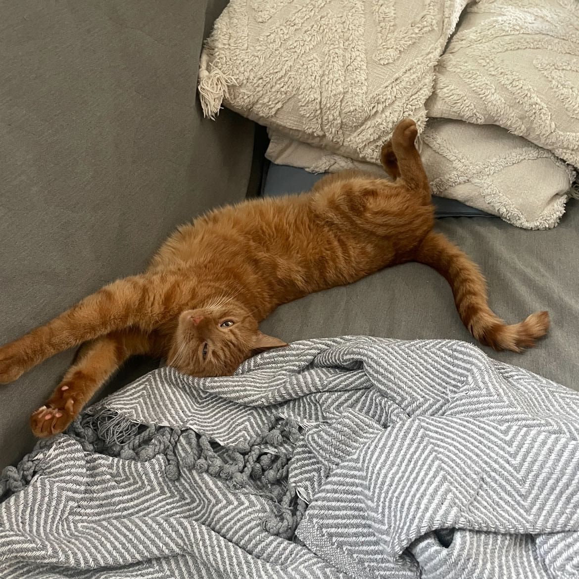 Tito