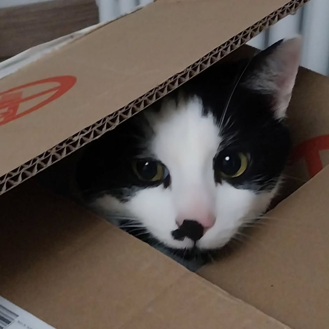 Artù