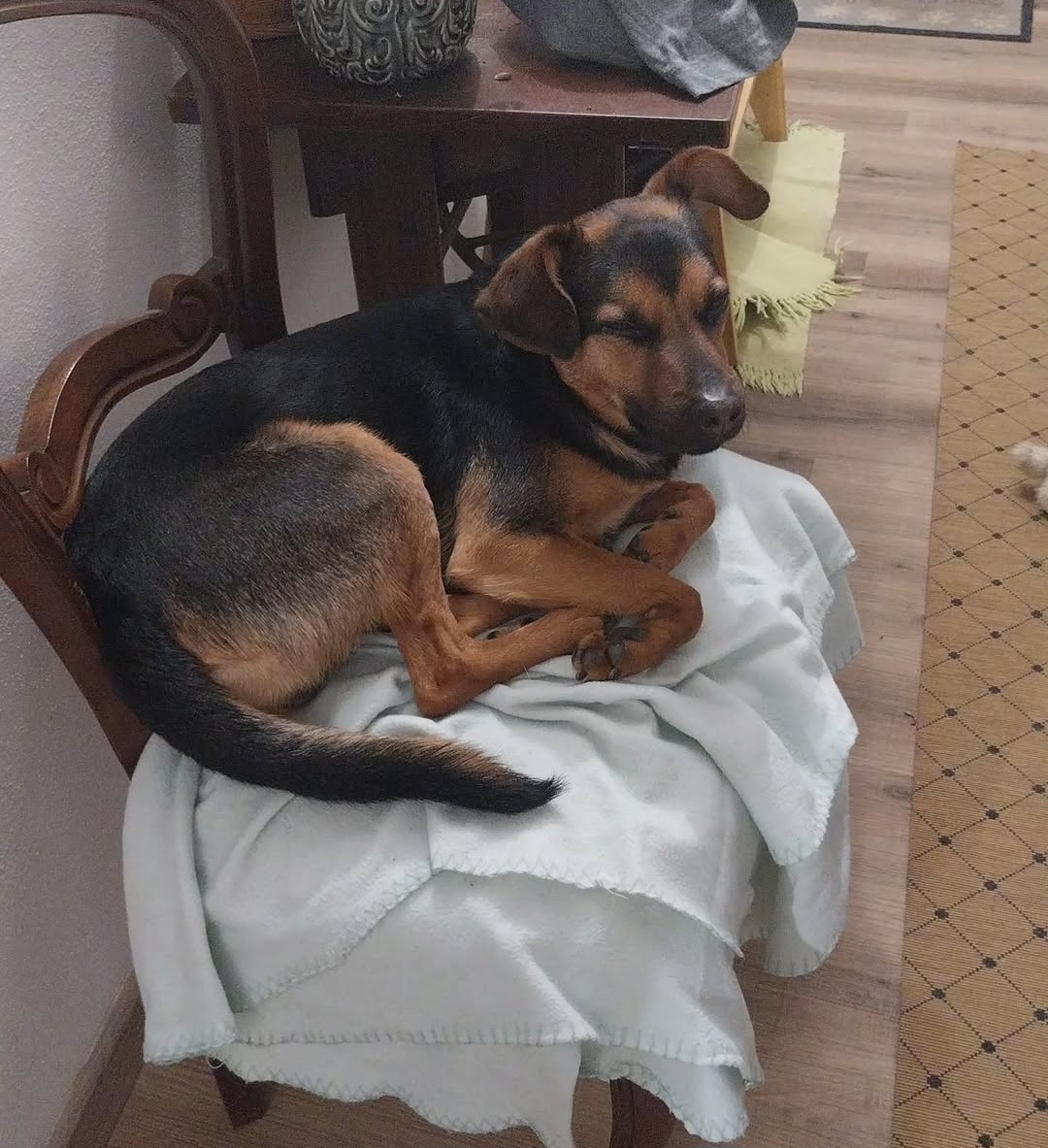 image-10