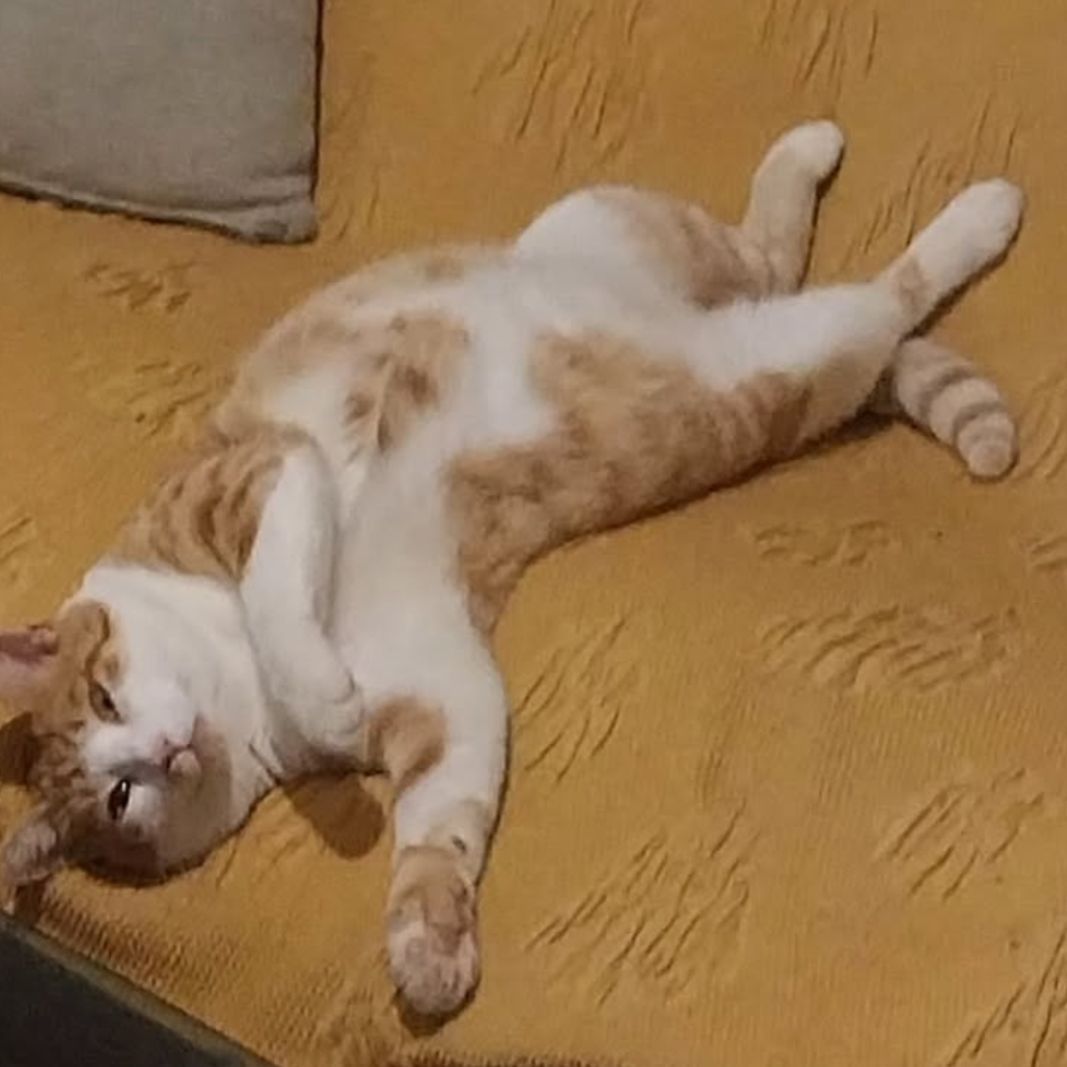 Ugo