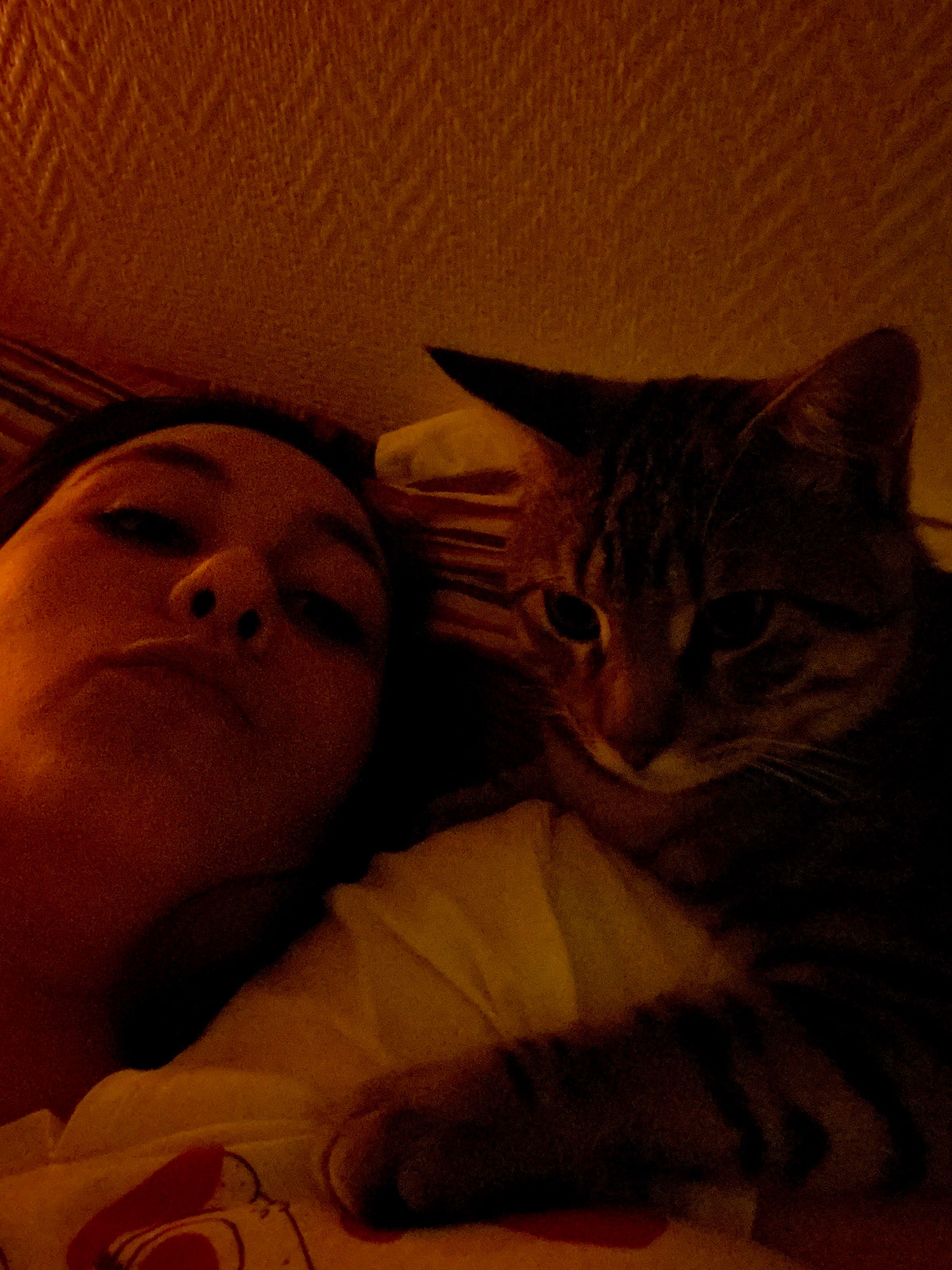 image-8