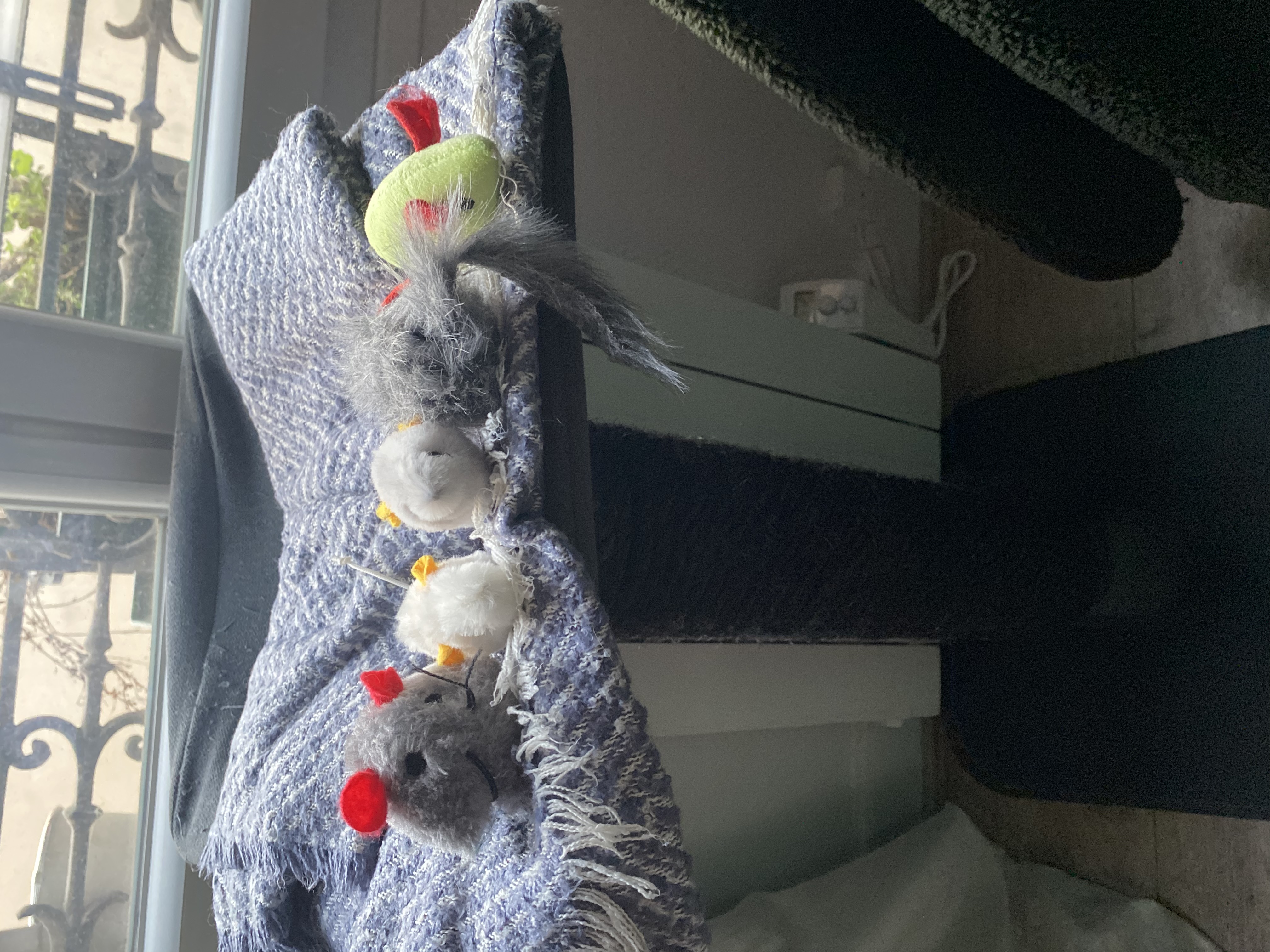 image-10