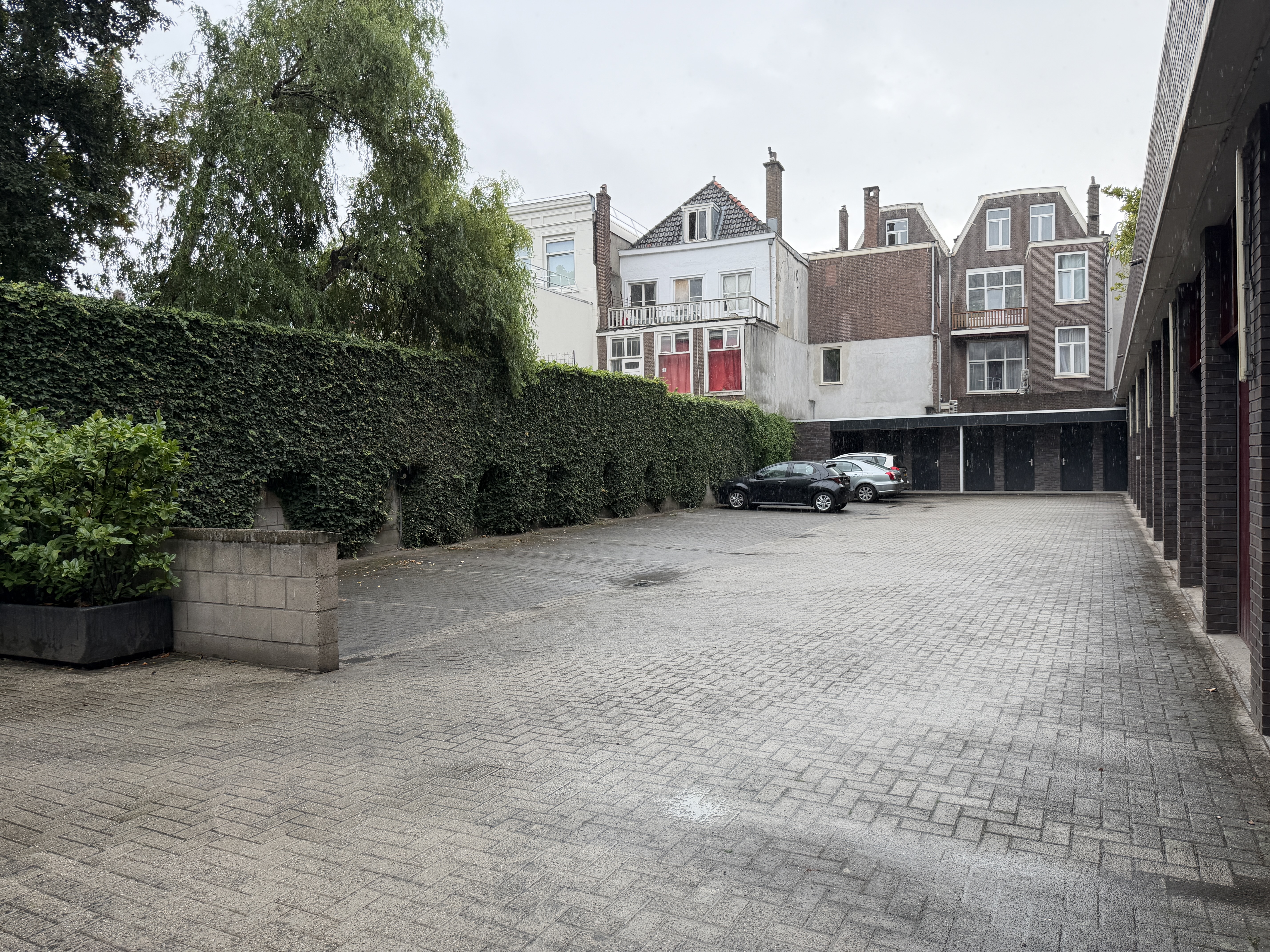 image-19