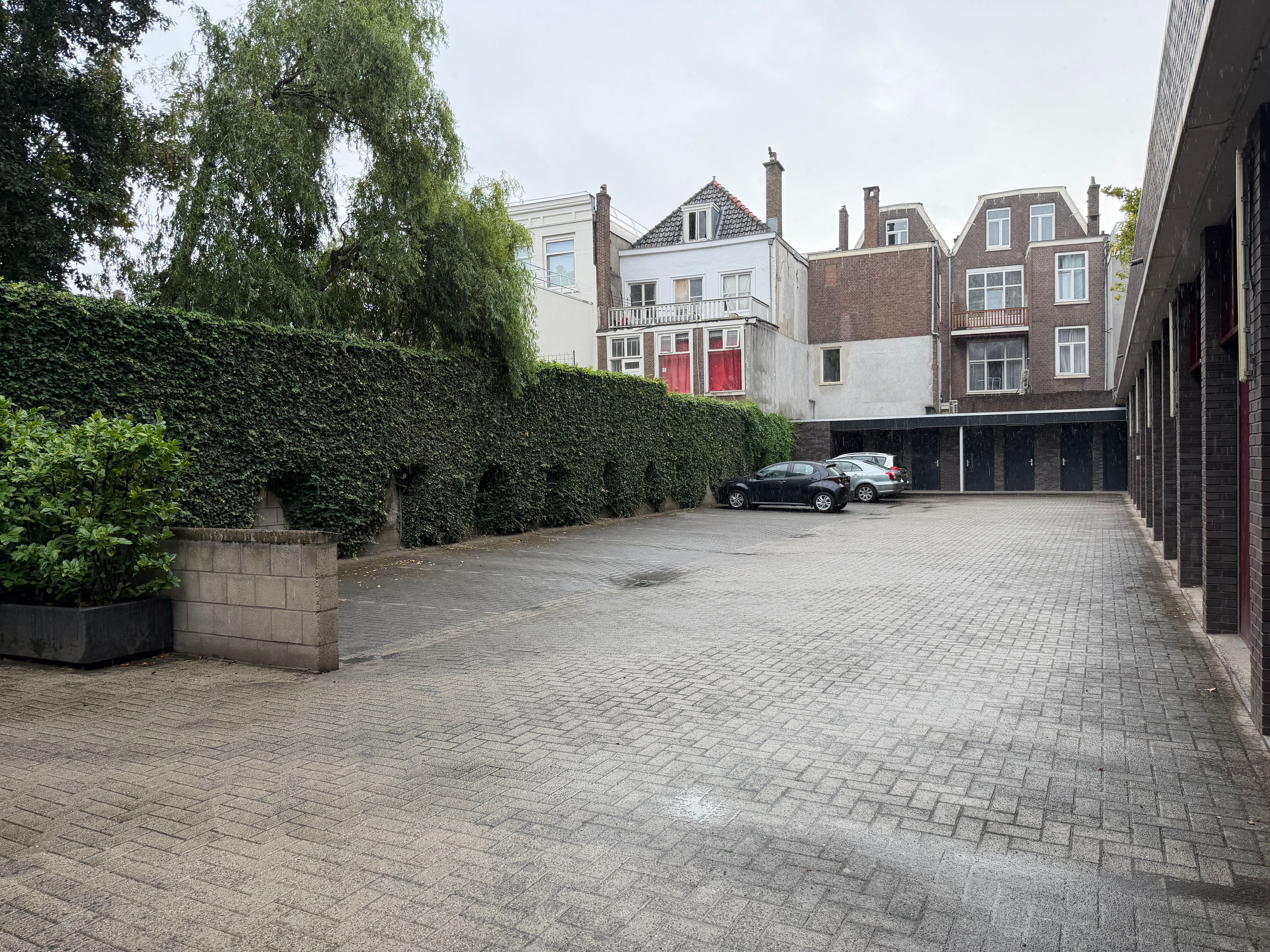 image-19
