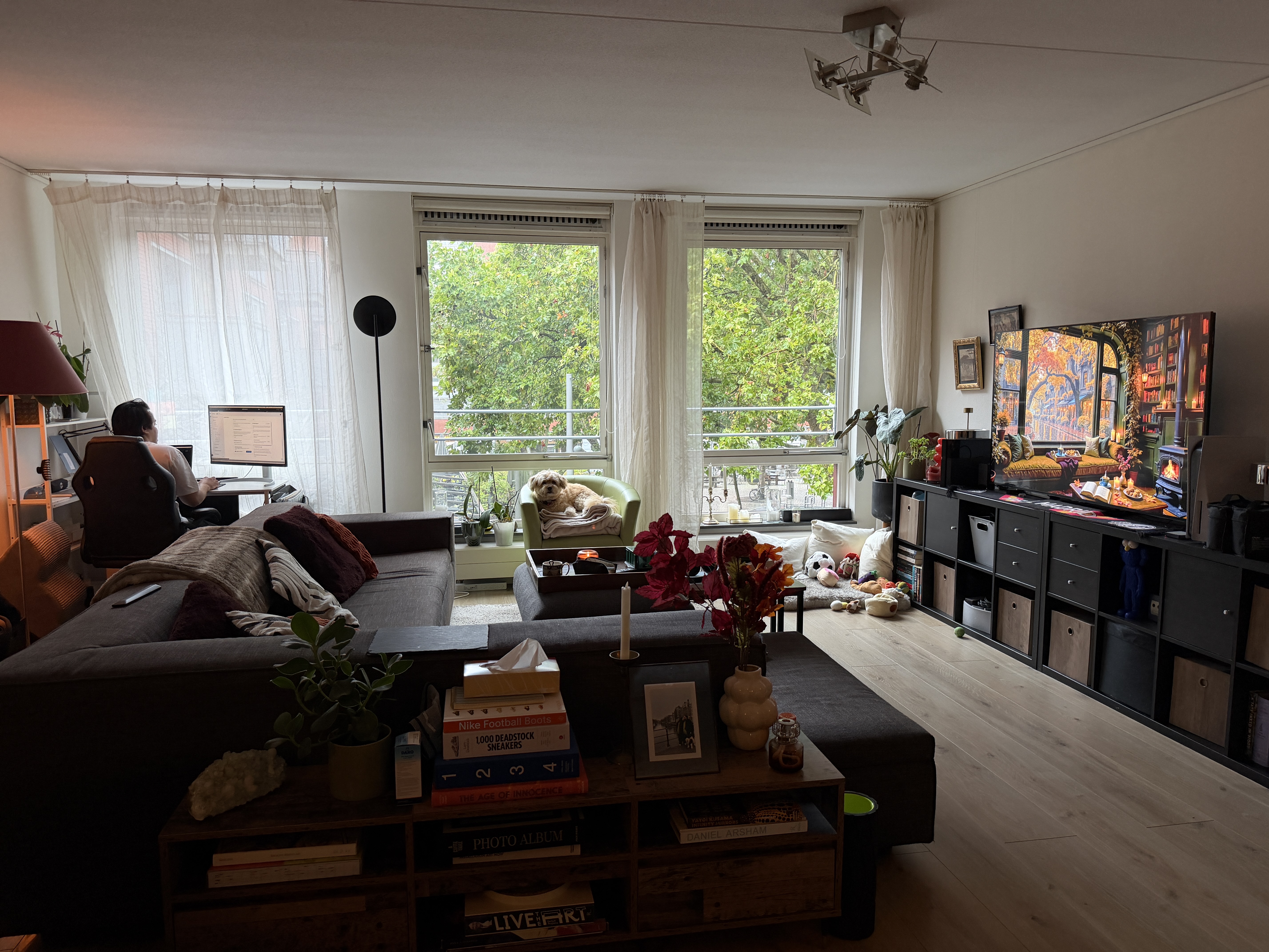image-18