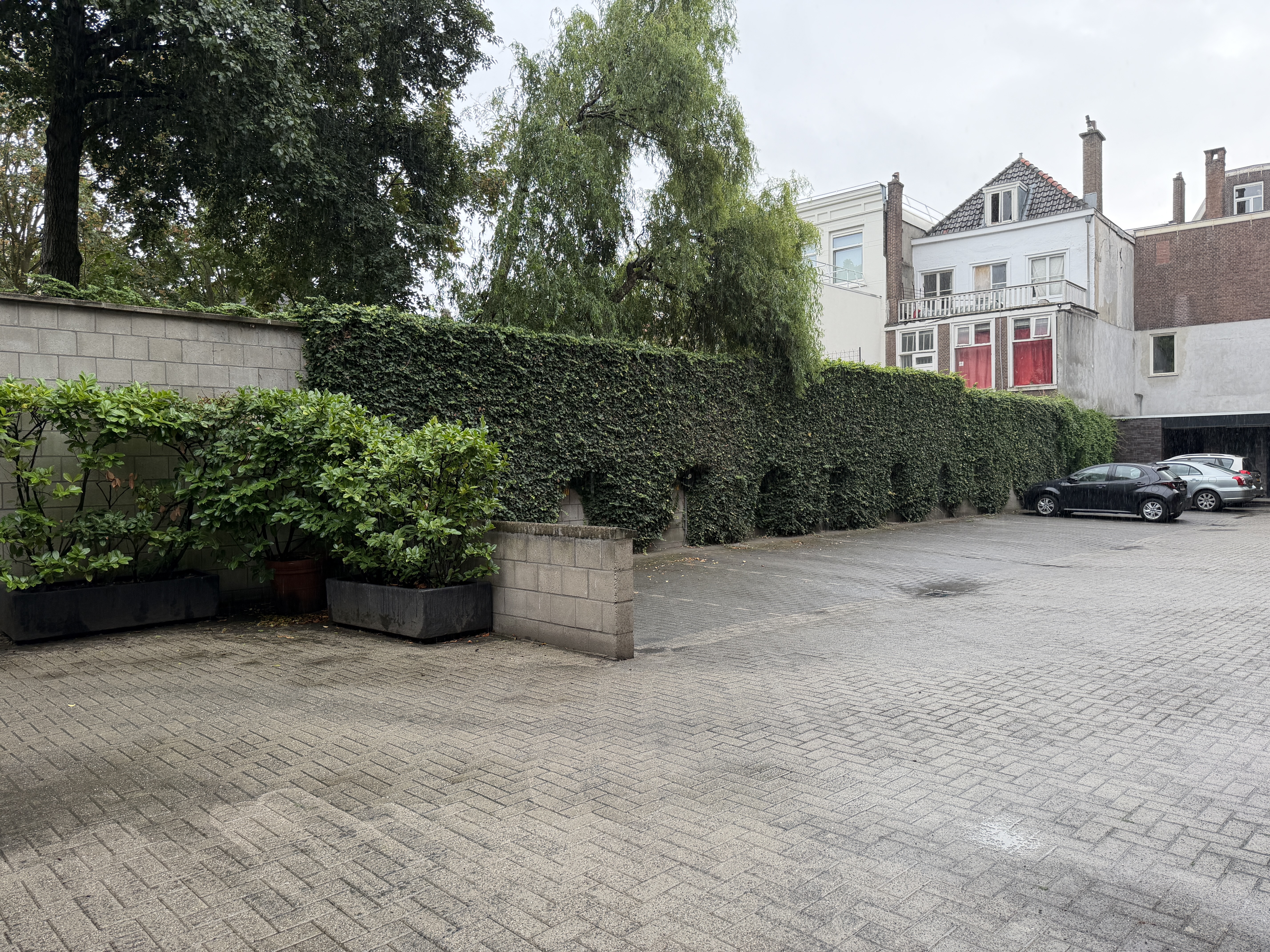 image-20
