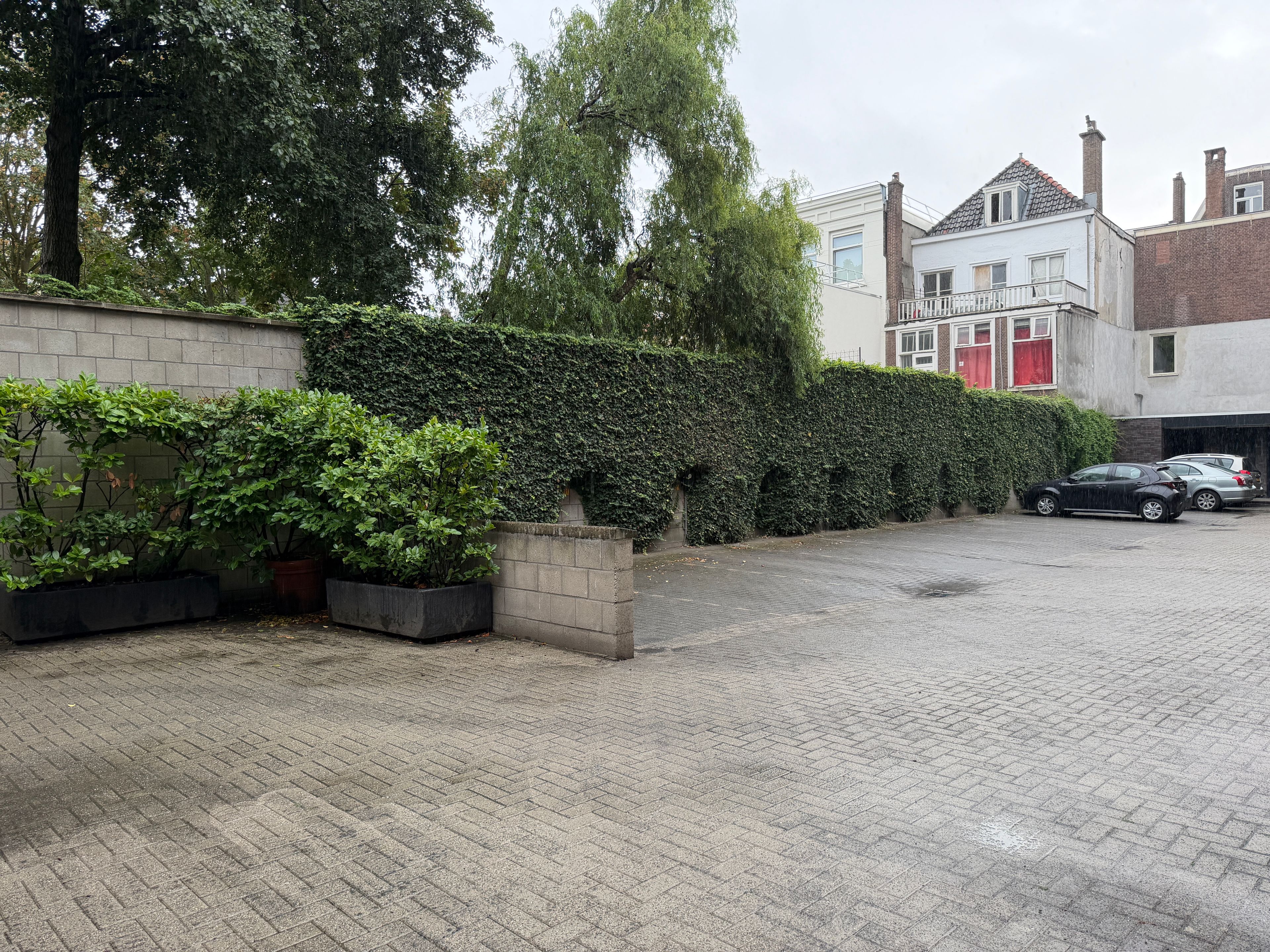 image-20