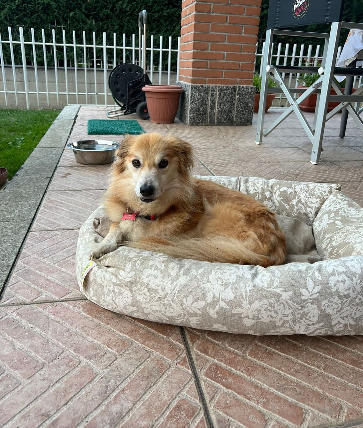 image-16