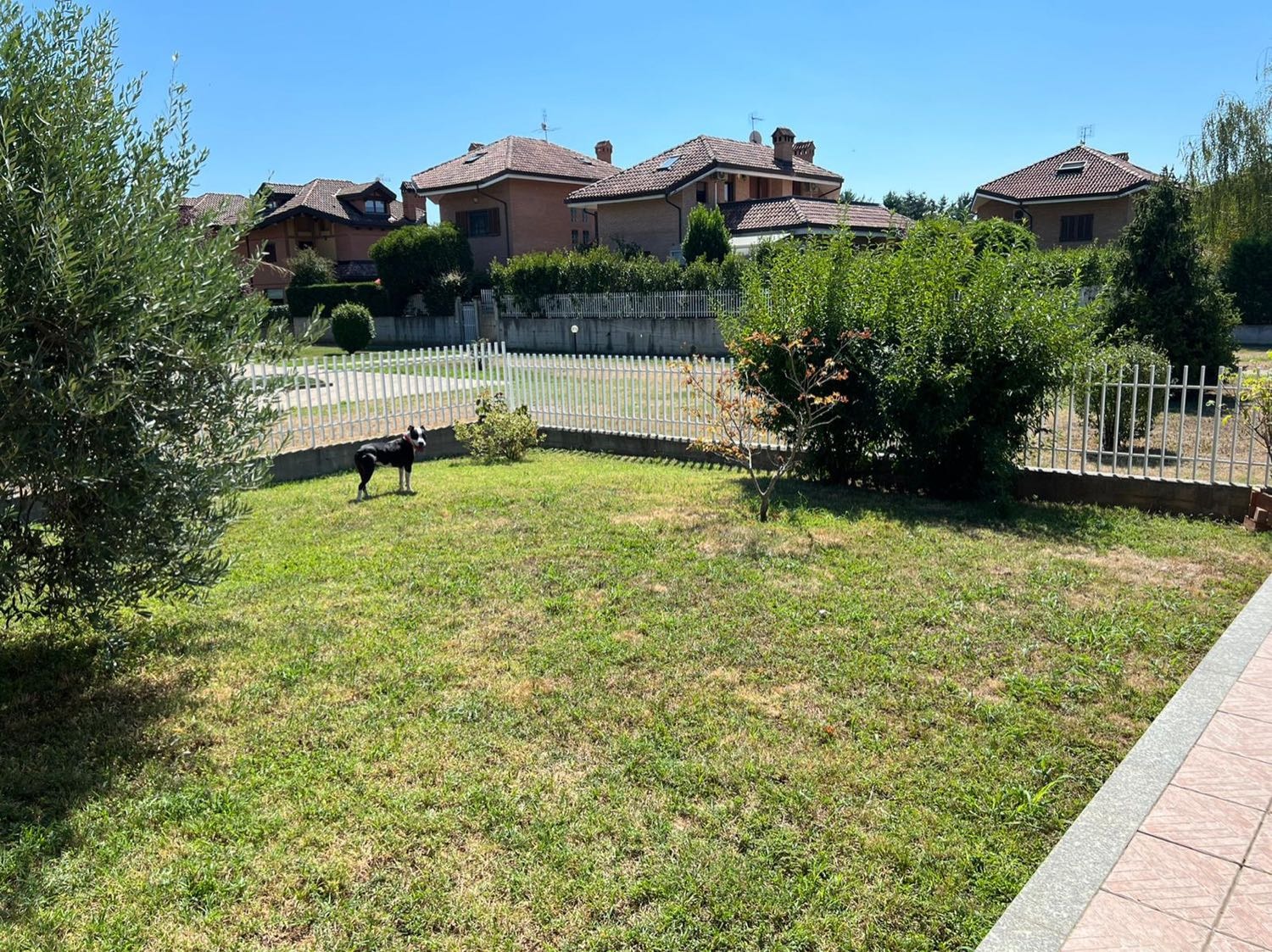 image-9