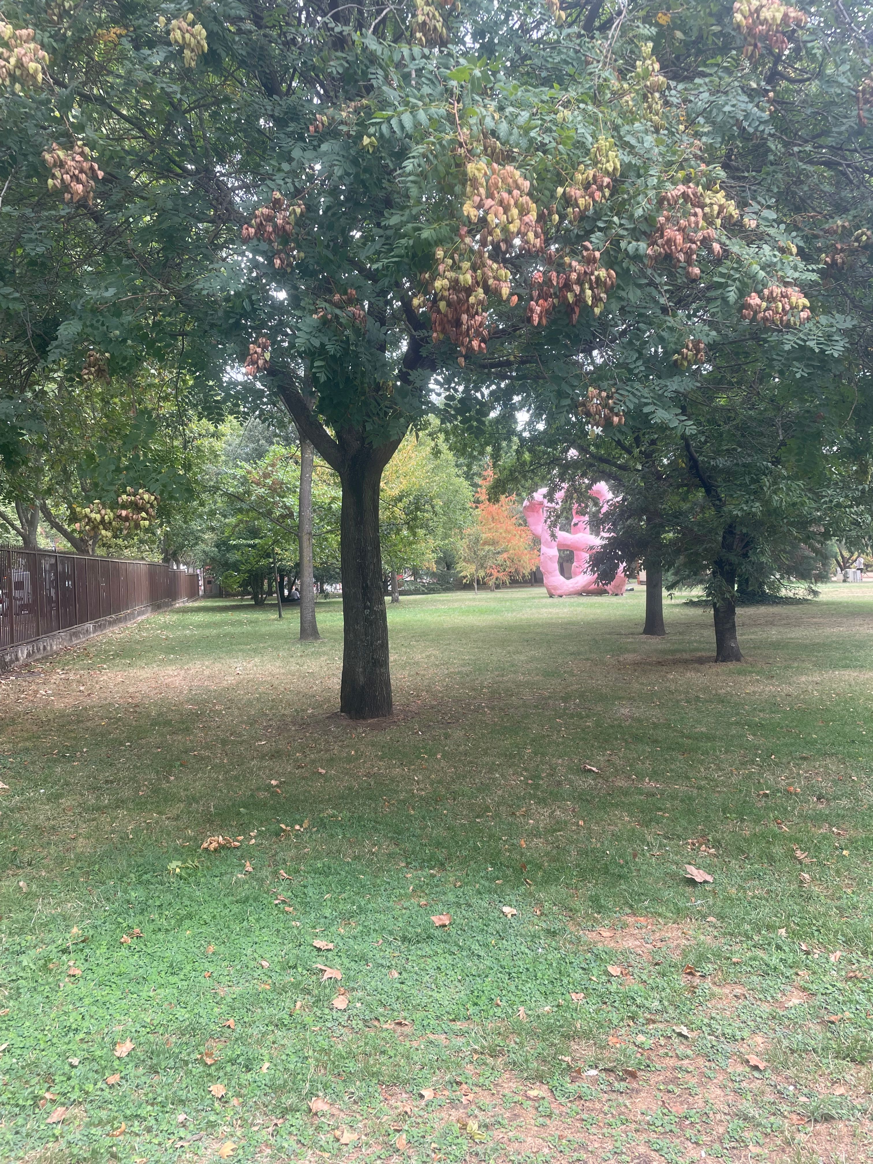 image-19