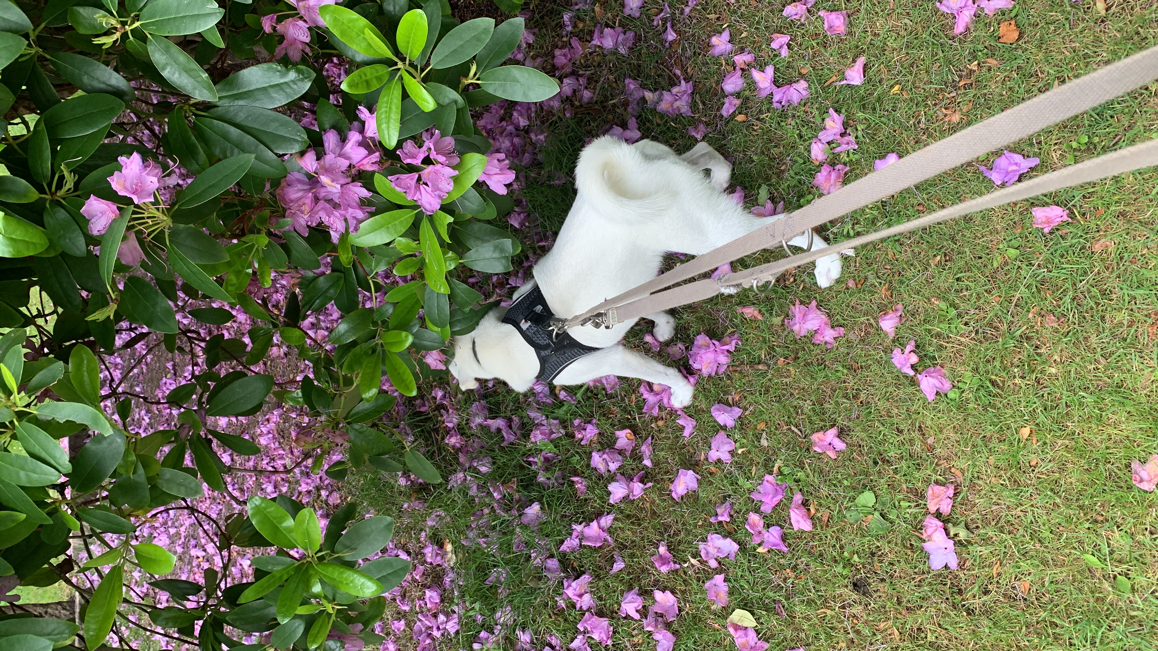 image-6