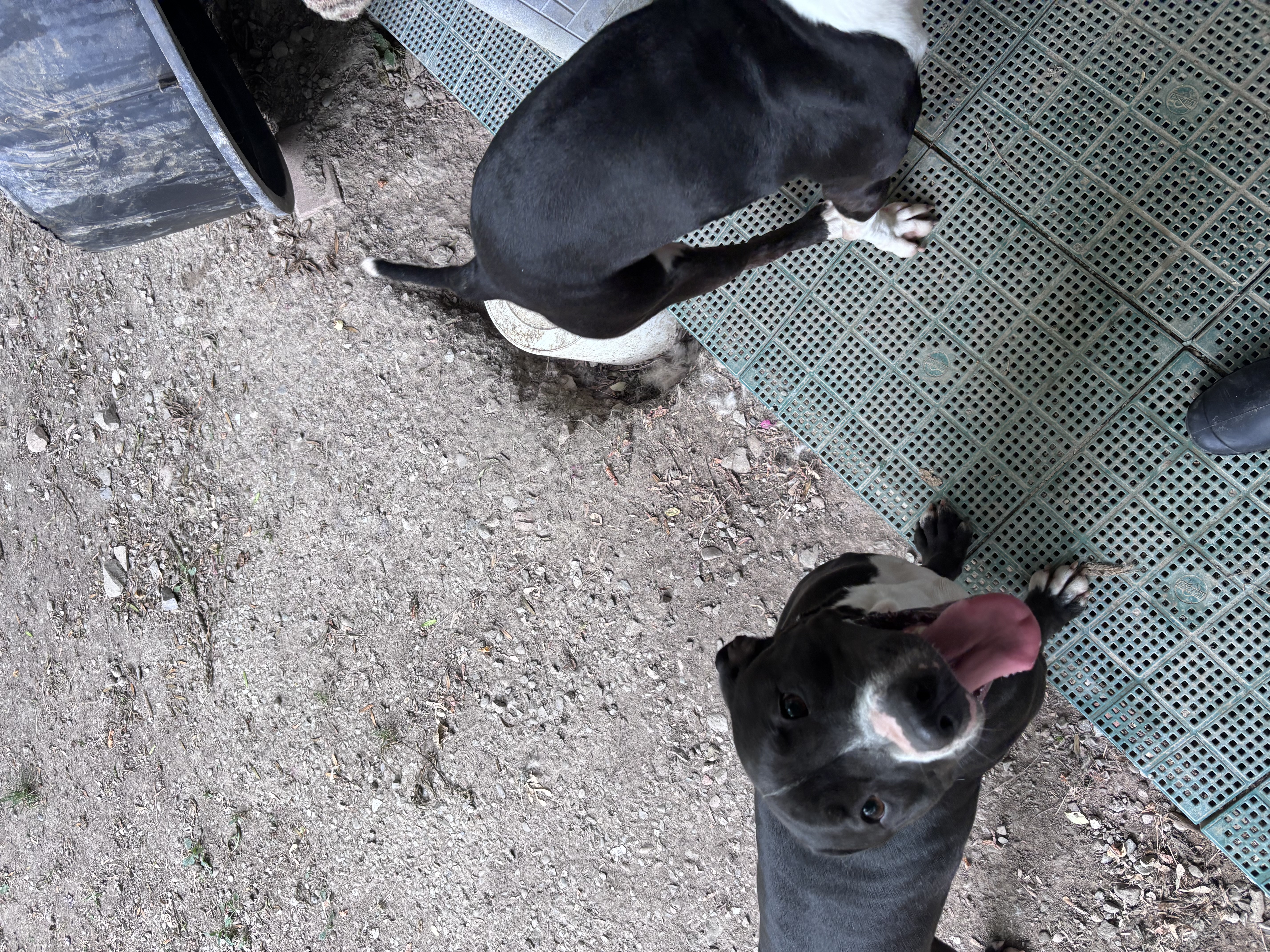 image-8