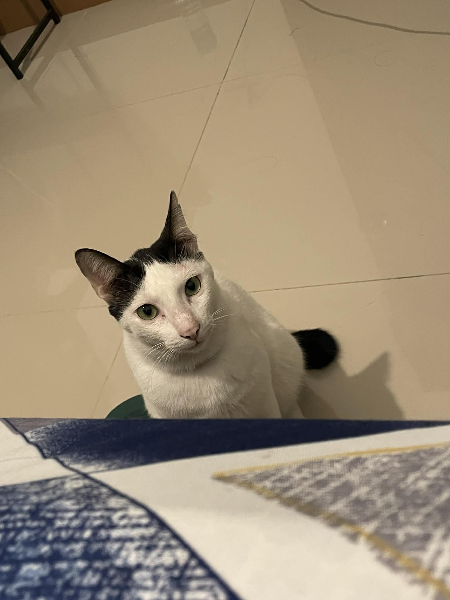 image-6