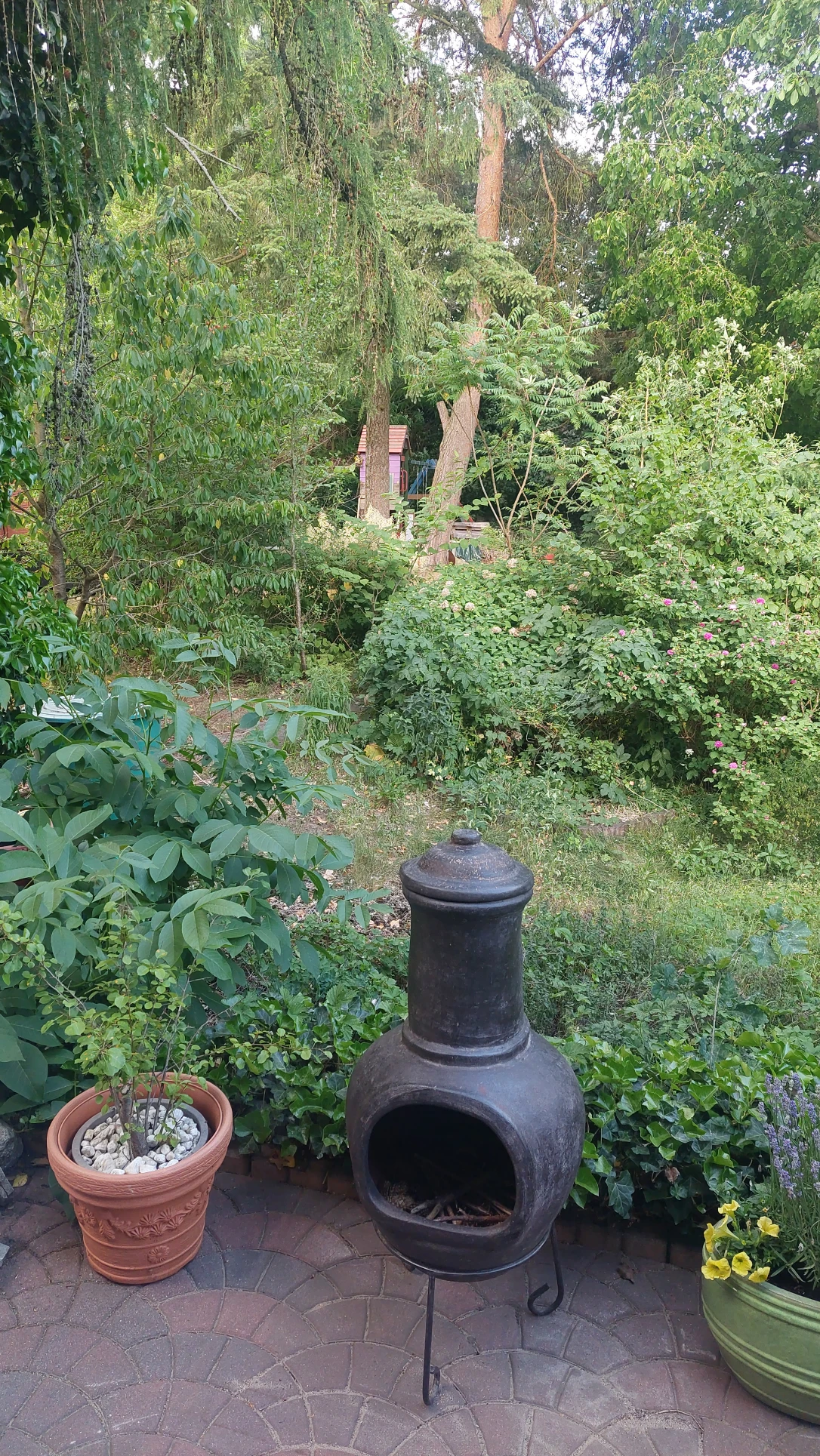 image-9