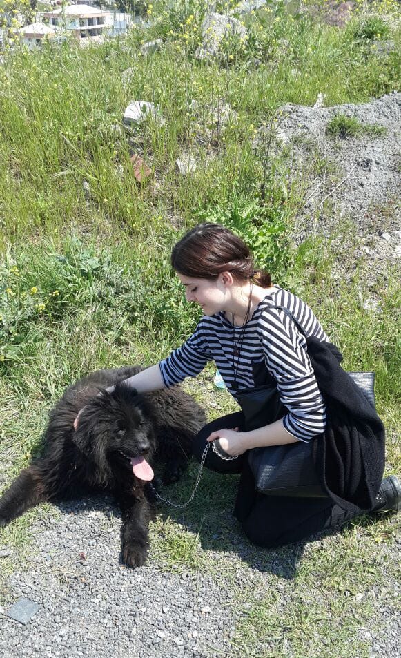 image-5