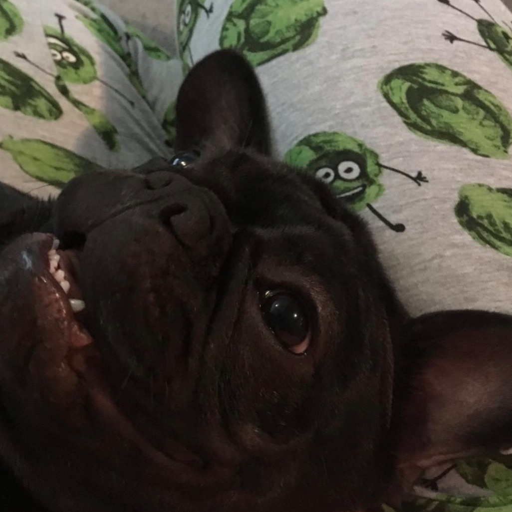 Lola