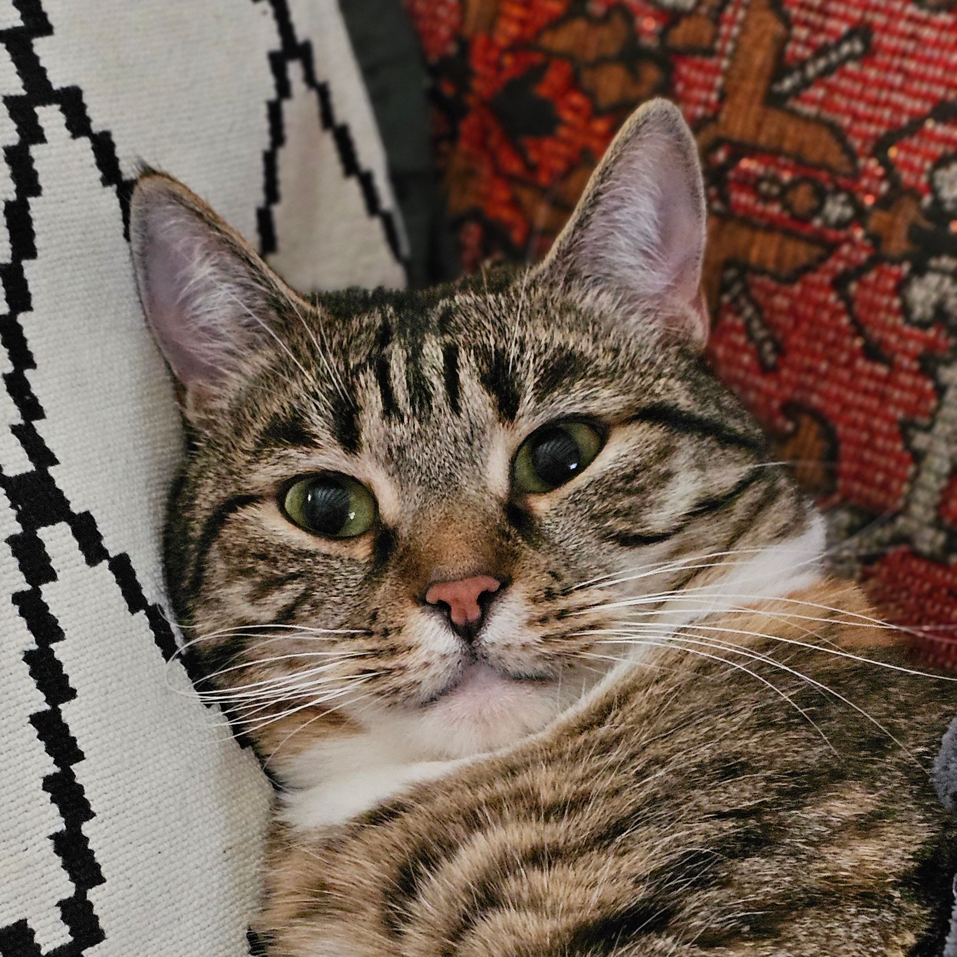 Sammy