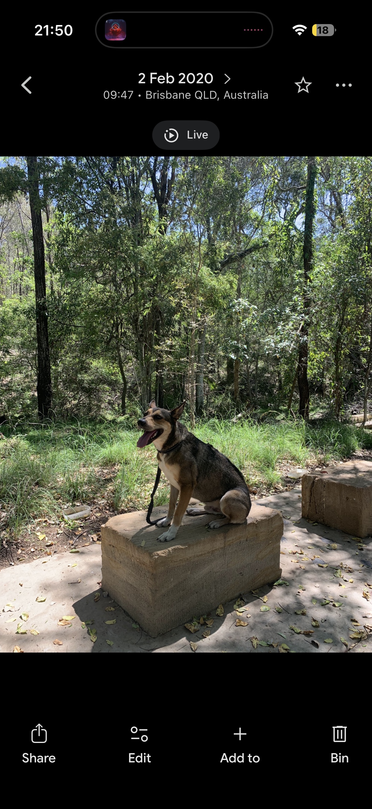 image-9