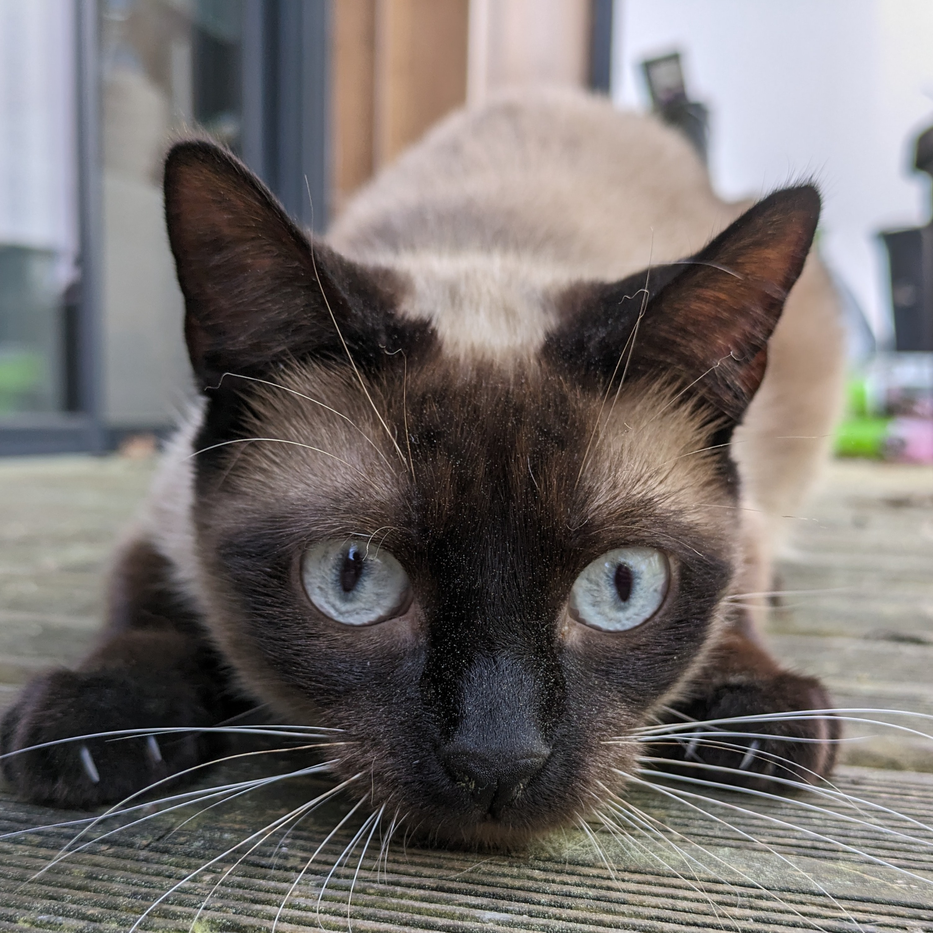 Gaël