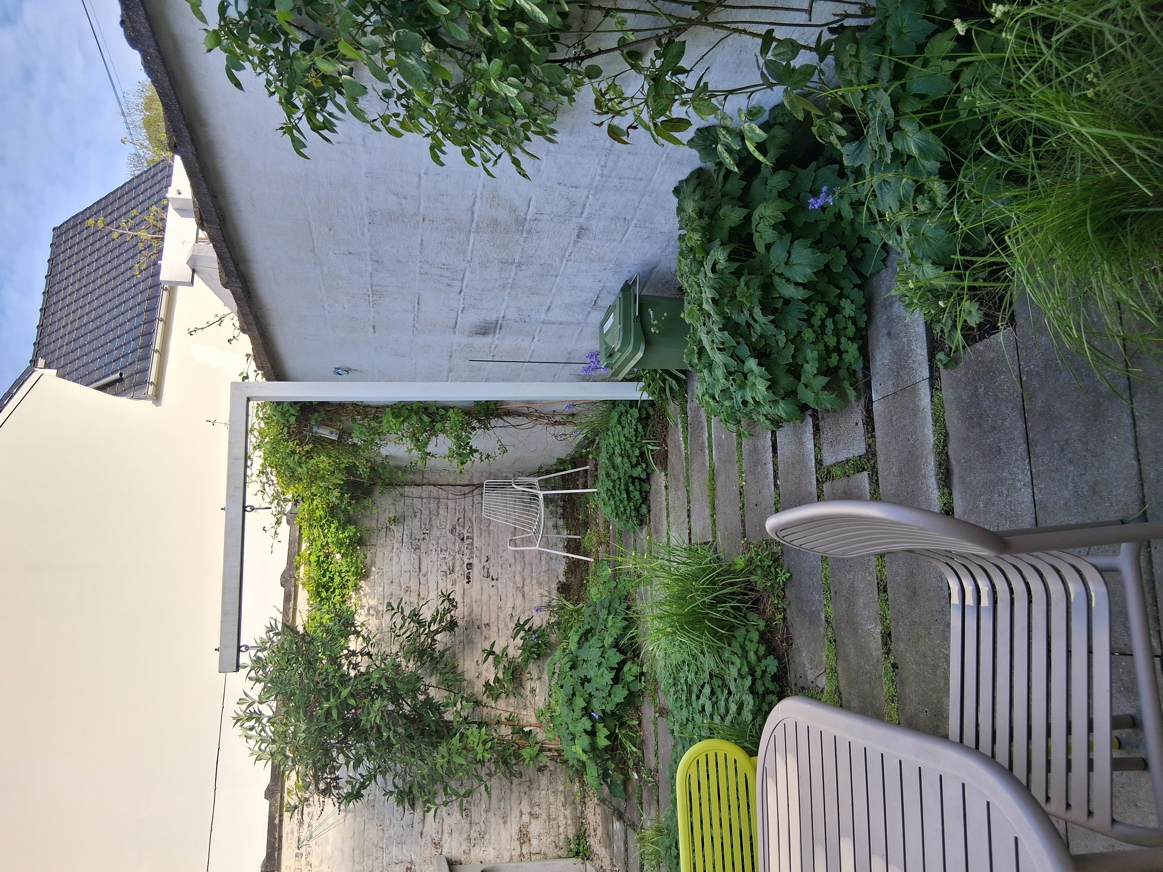 image-19