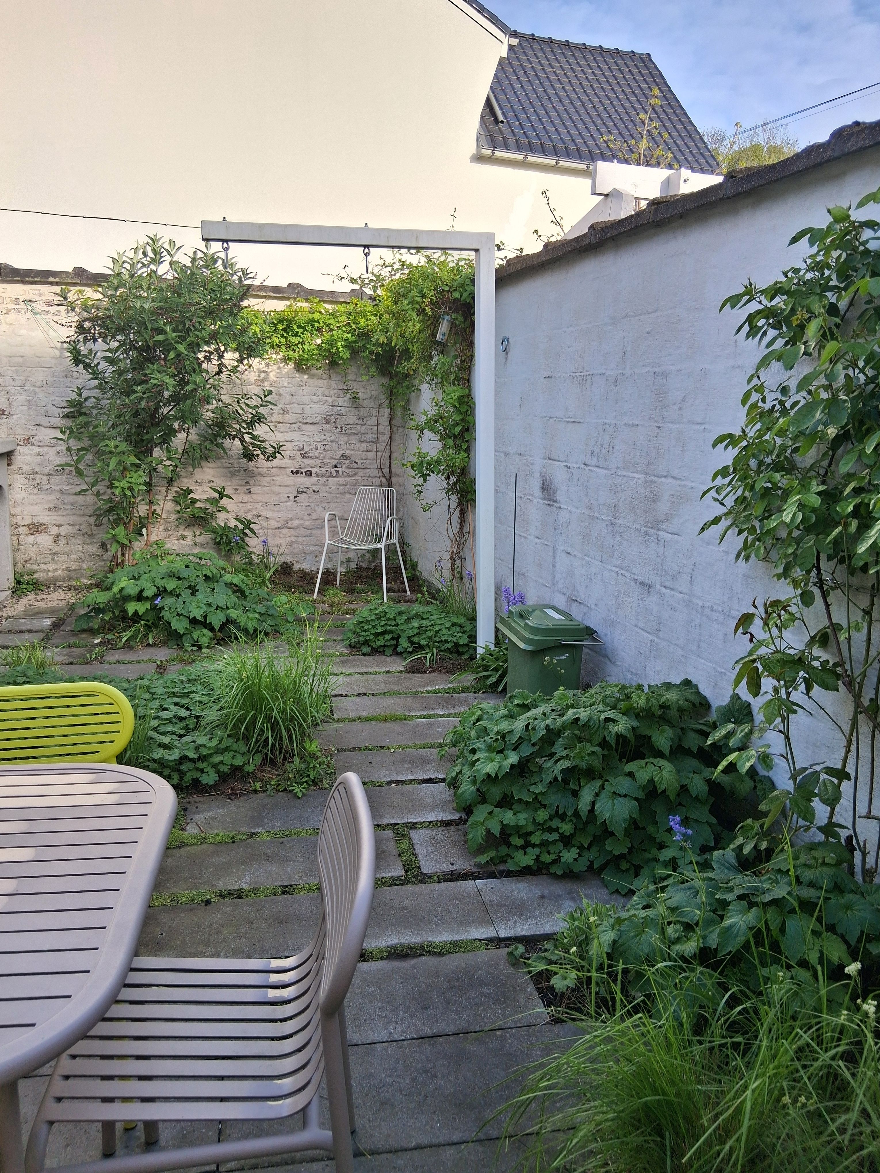 image-19