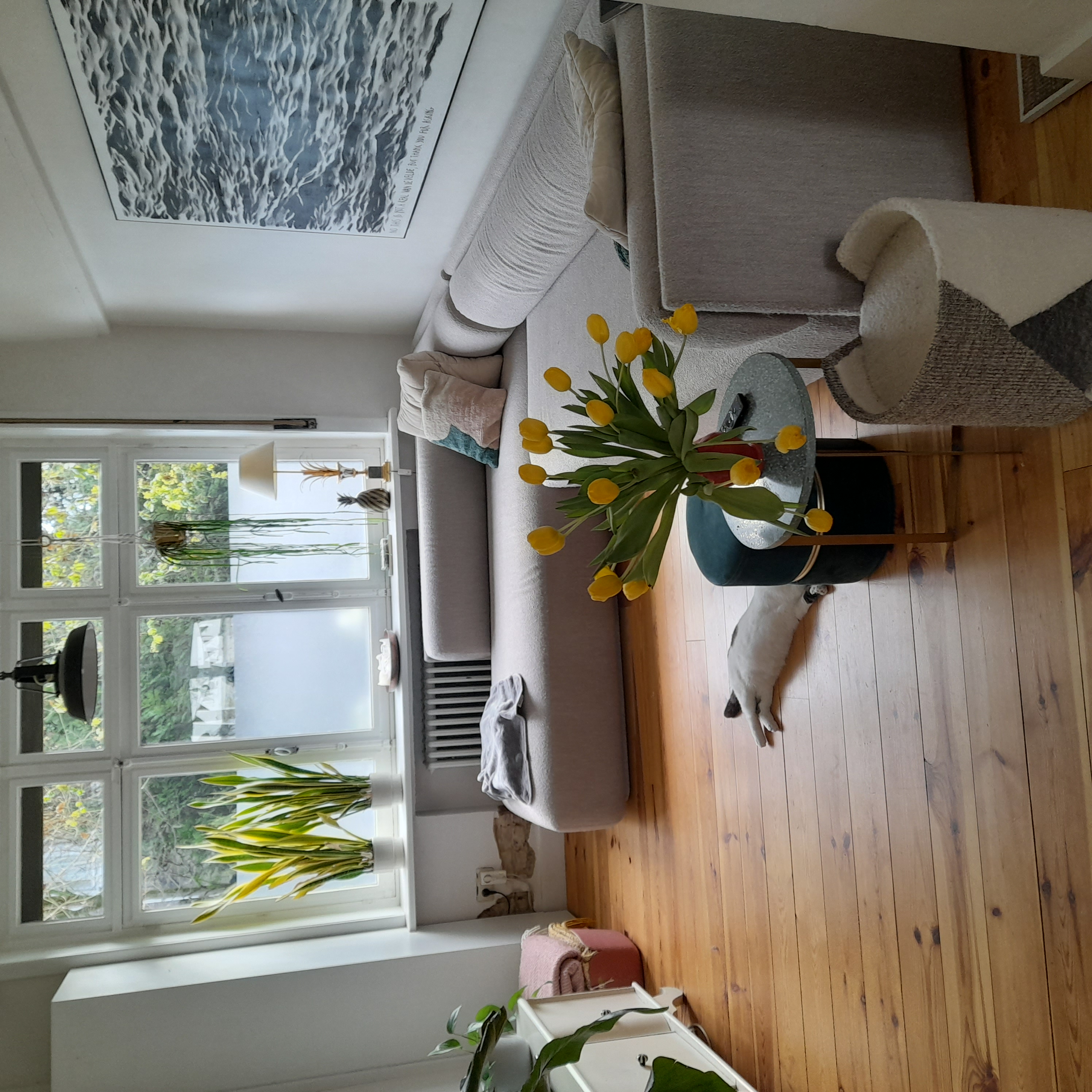 image-14