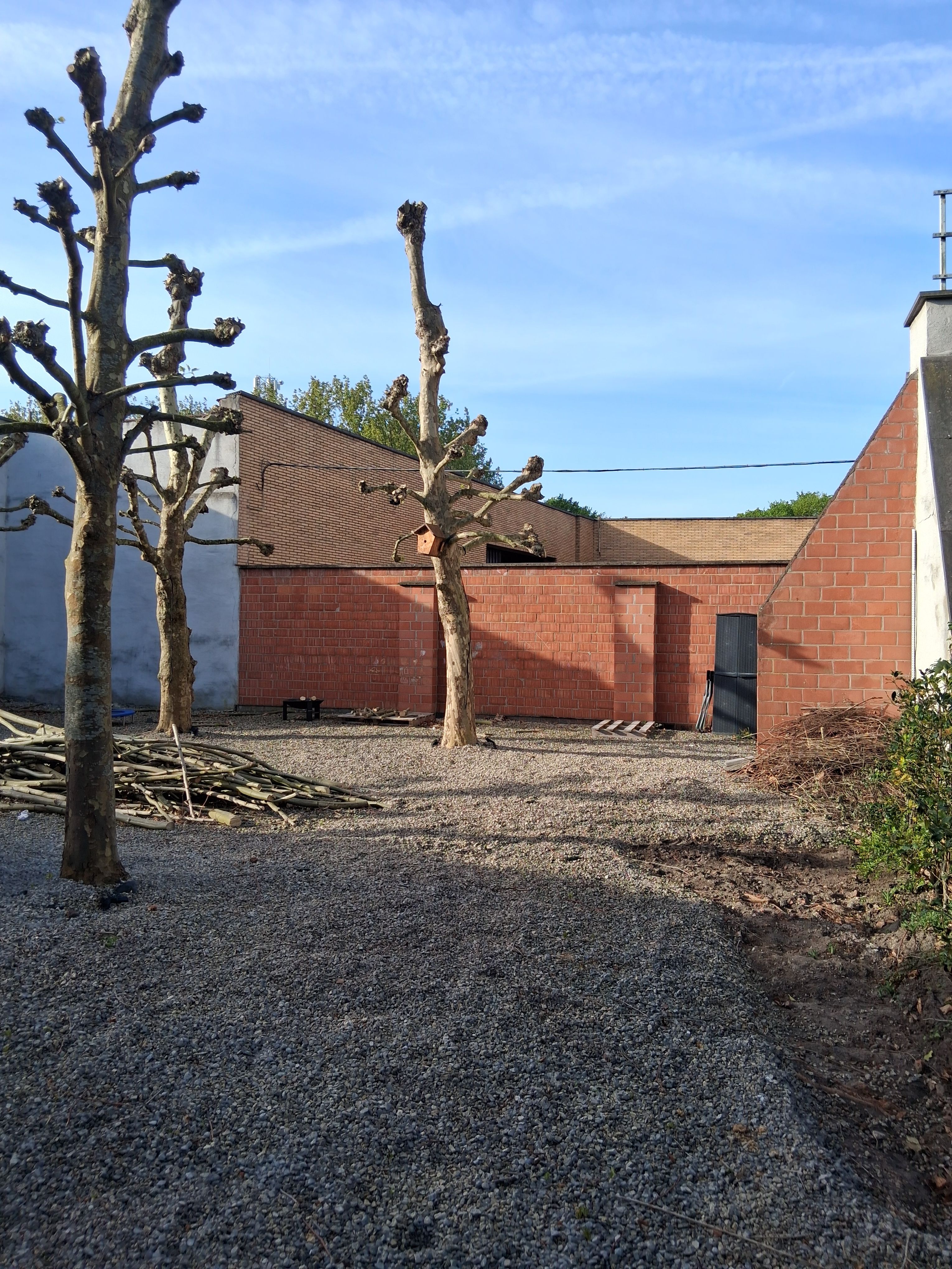 image-20
