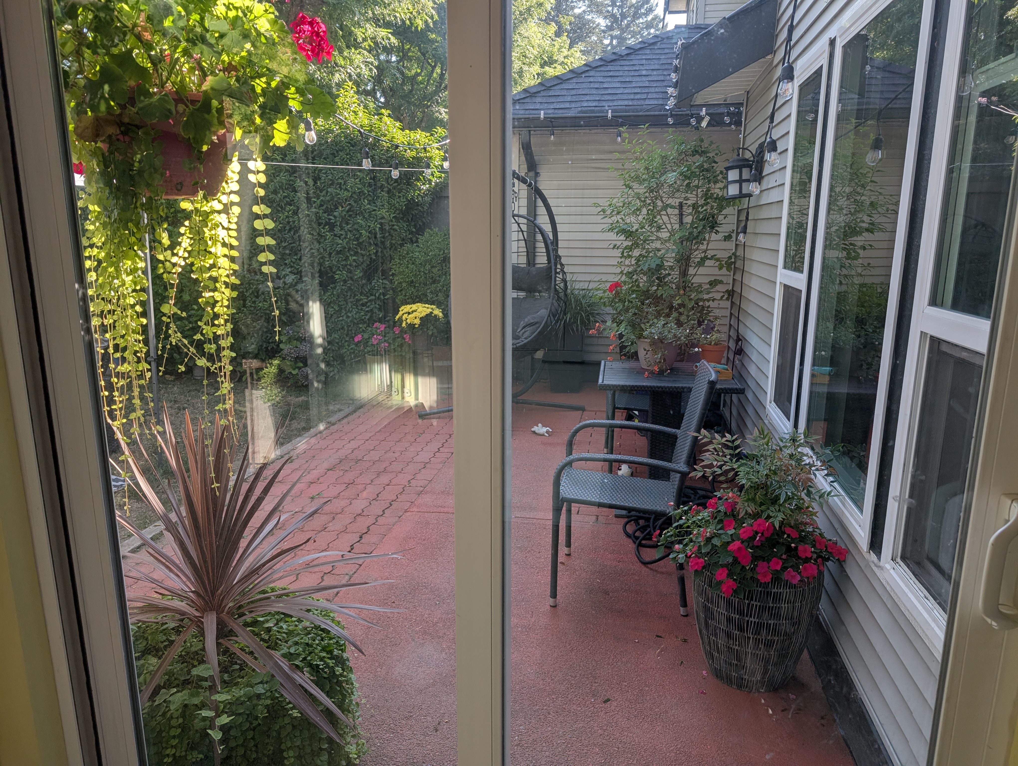 image-16