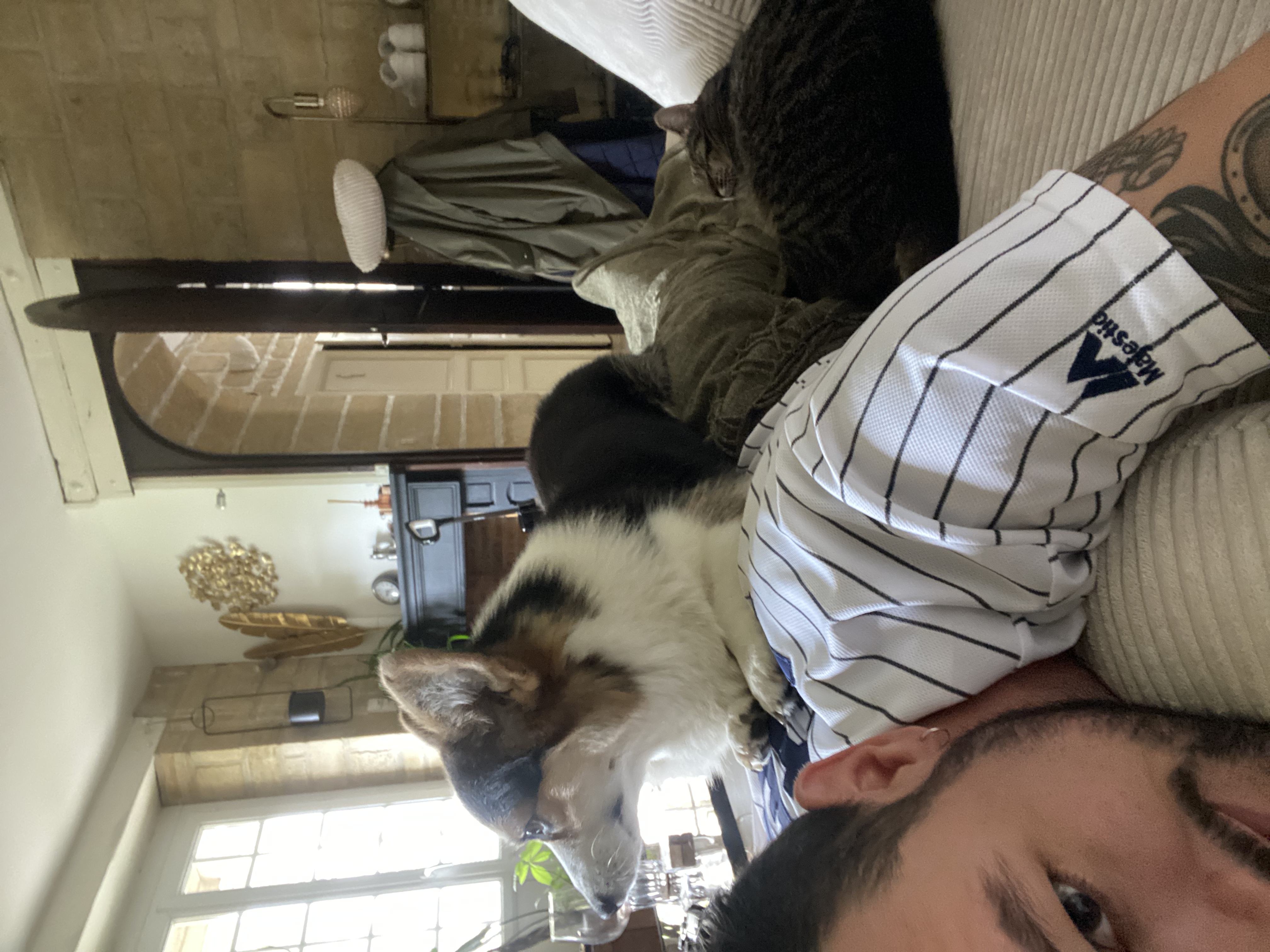image-8
