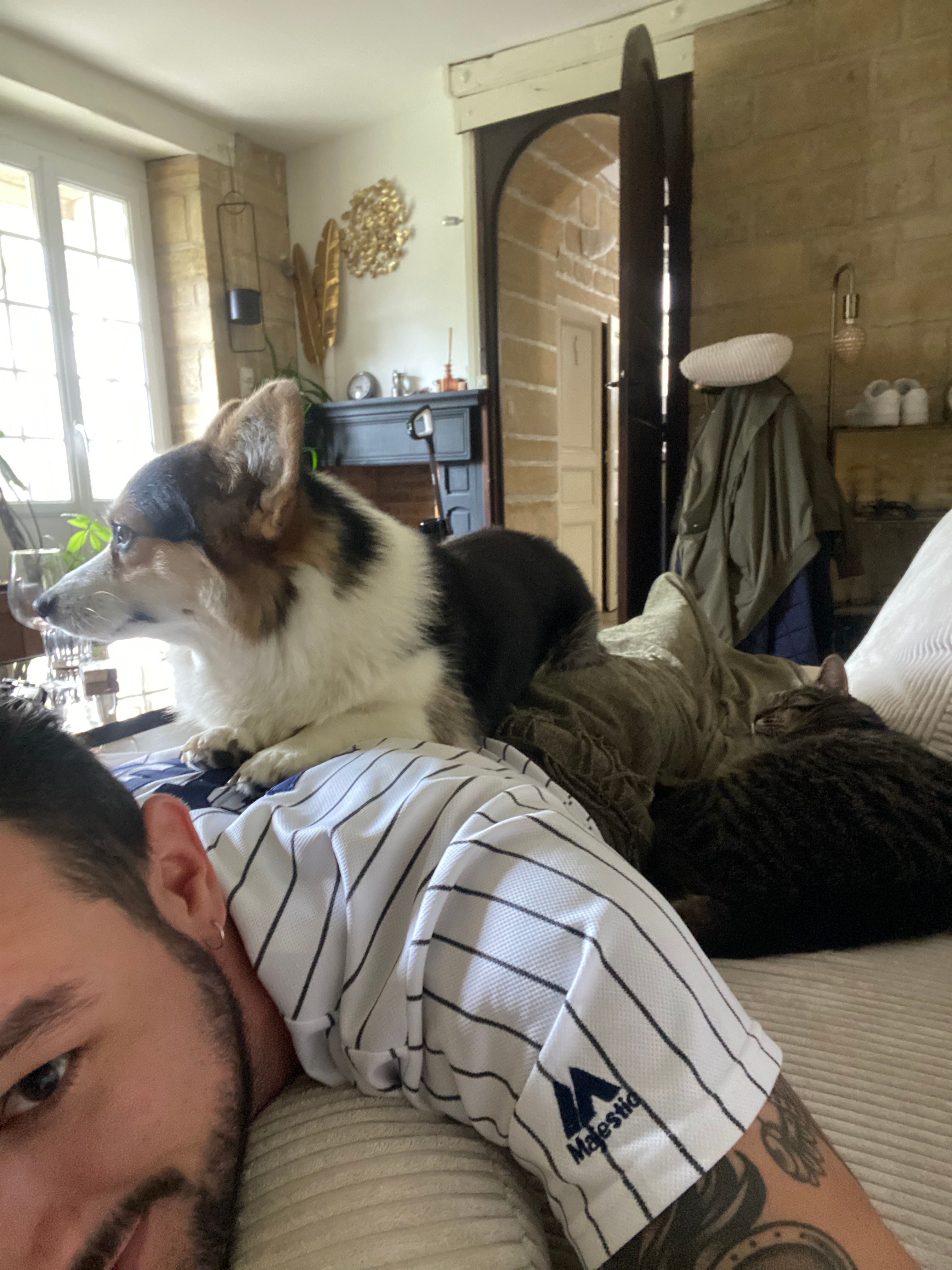 image-8