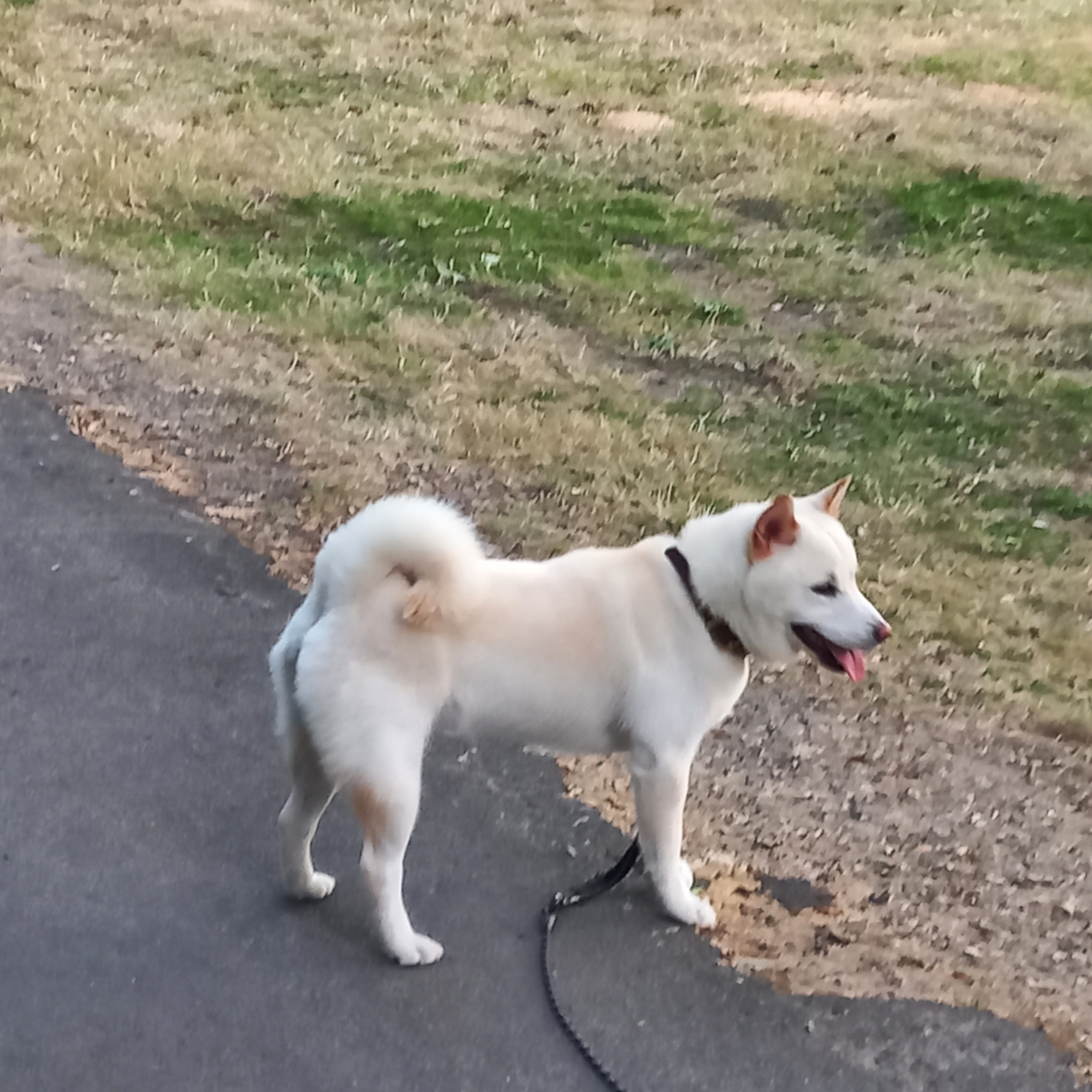 Yuki
