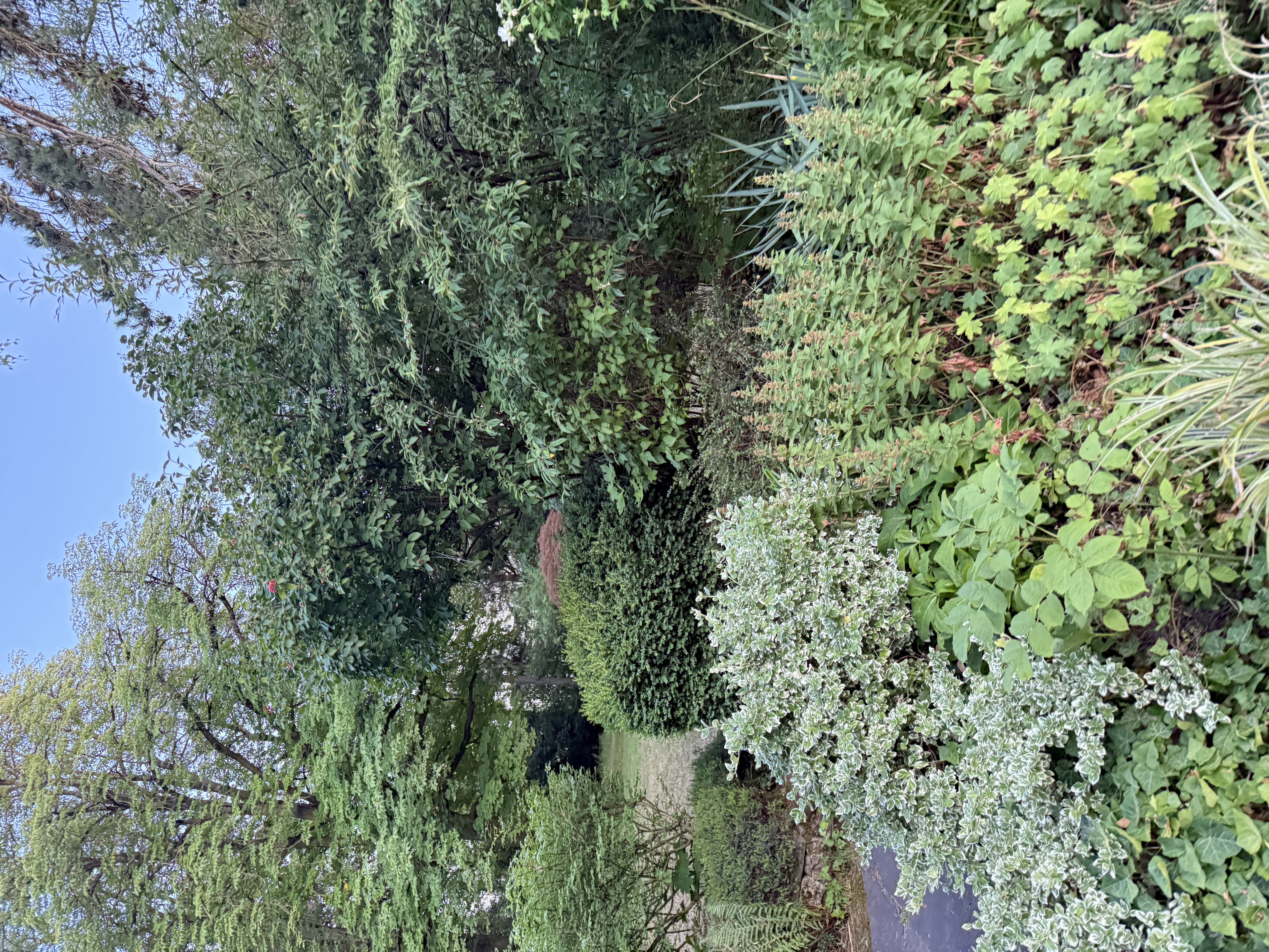 image-16
