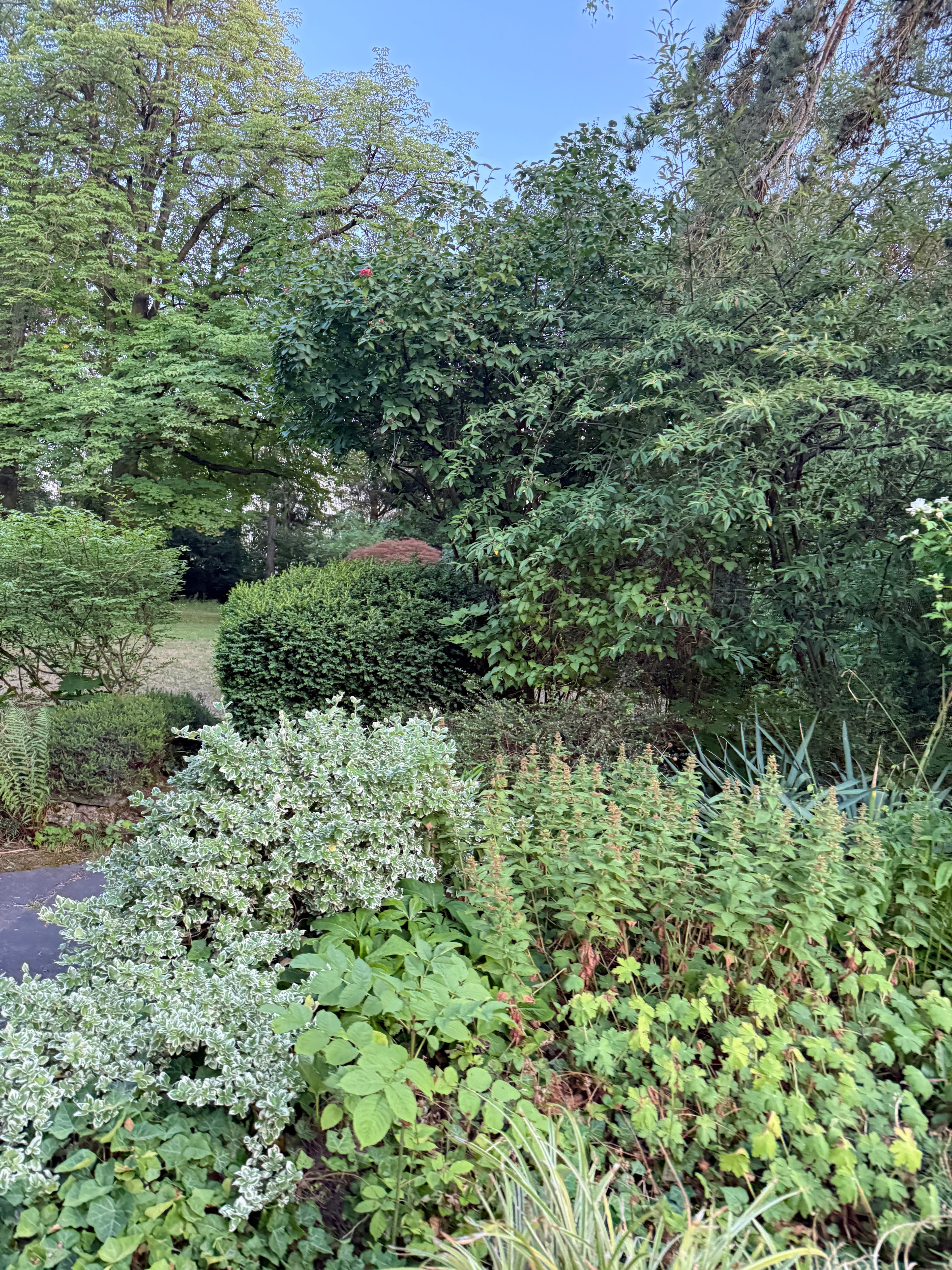 image-16