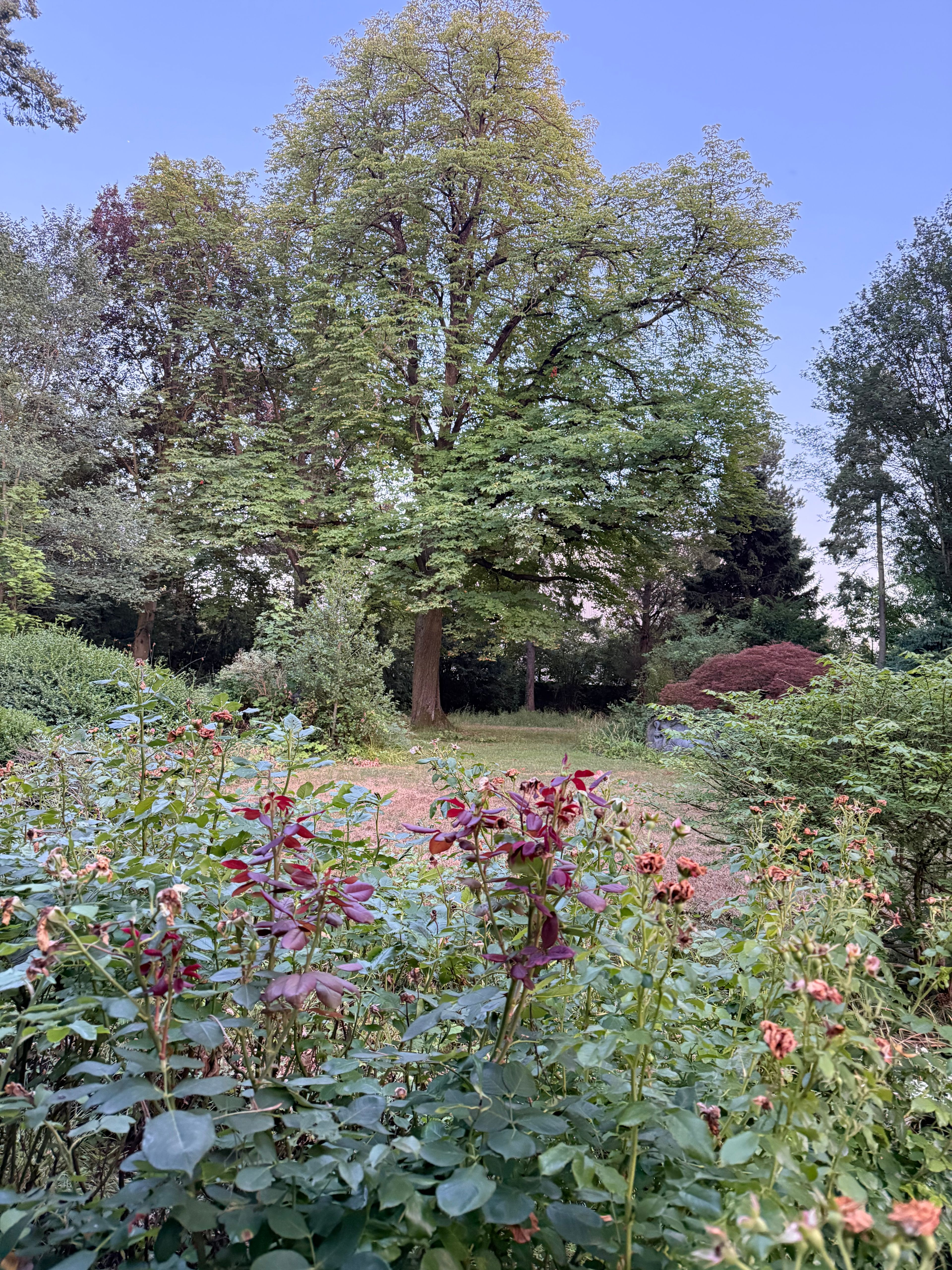image-17