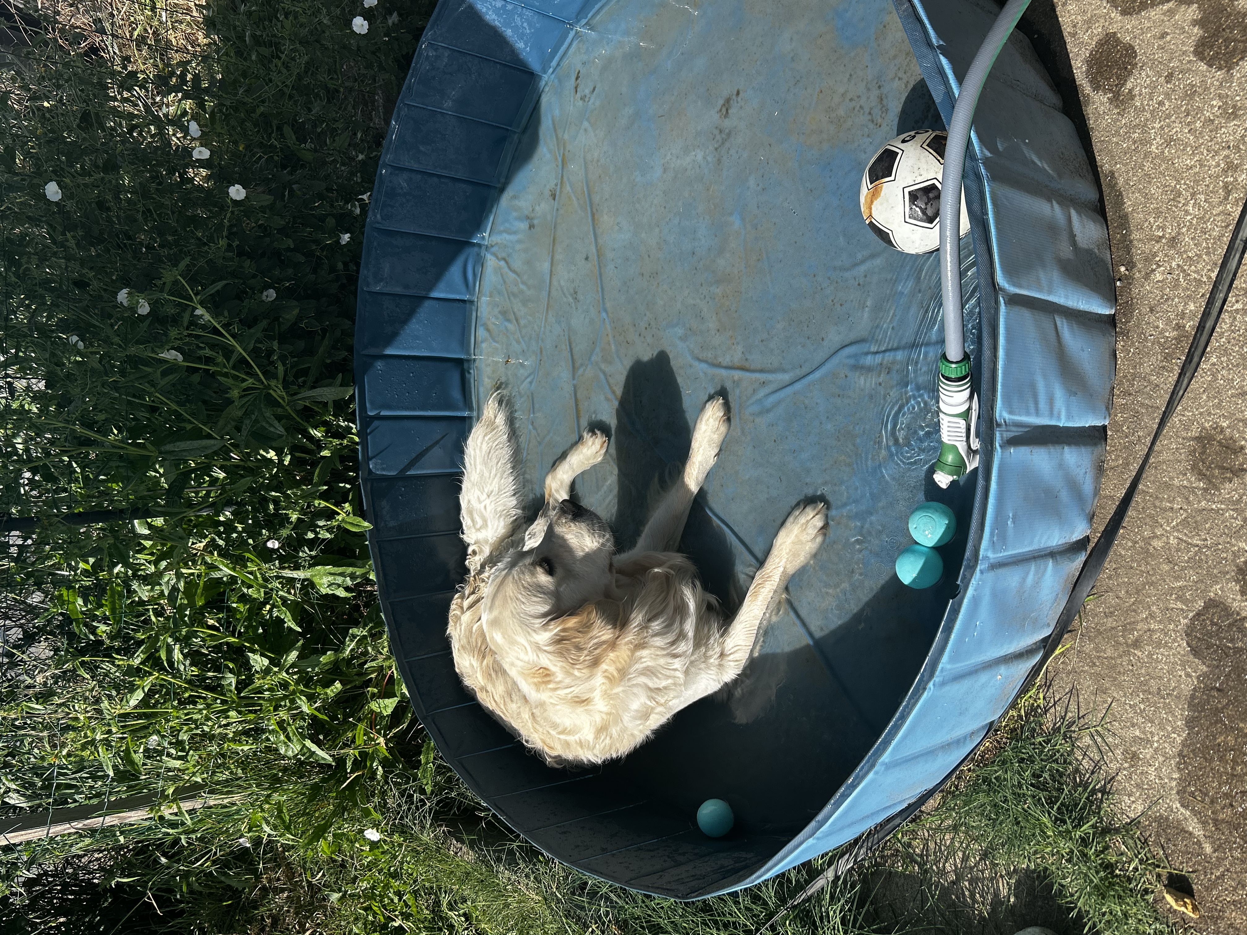 image-2