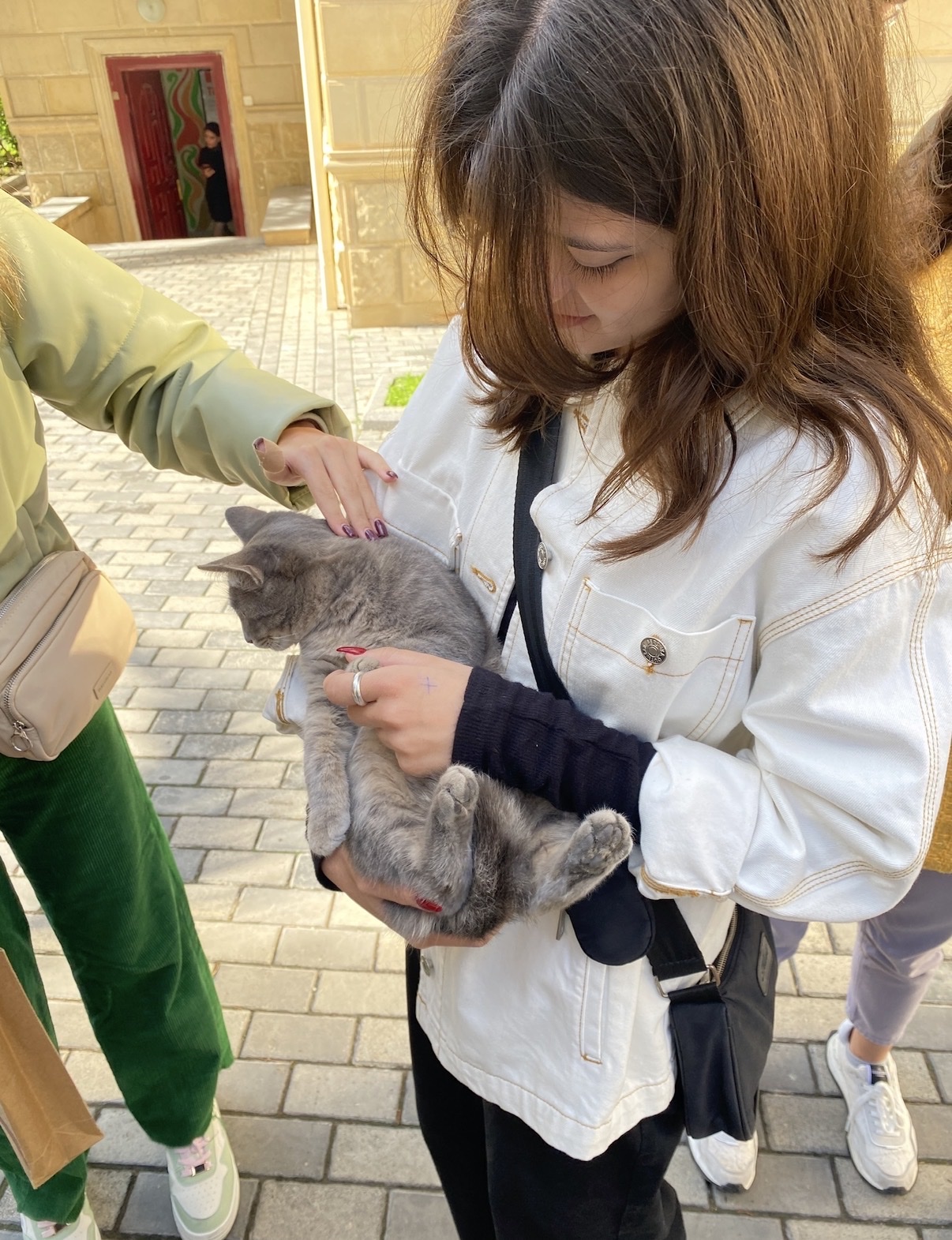 image-6