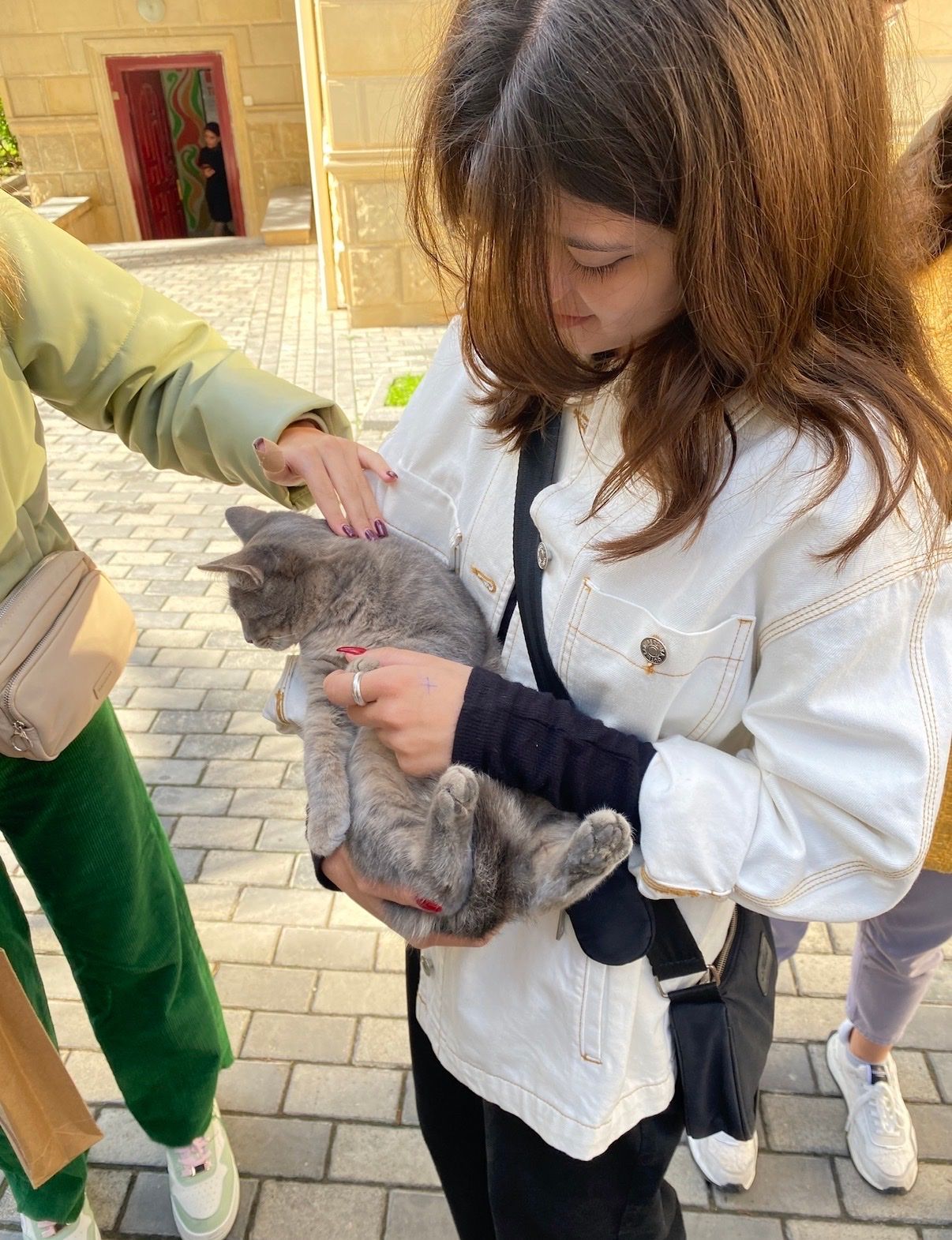 image-6