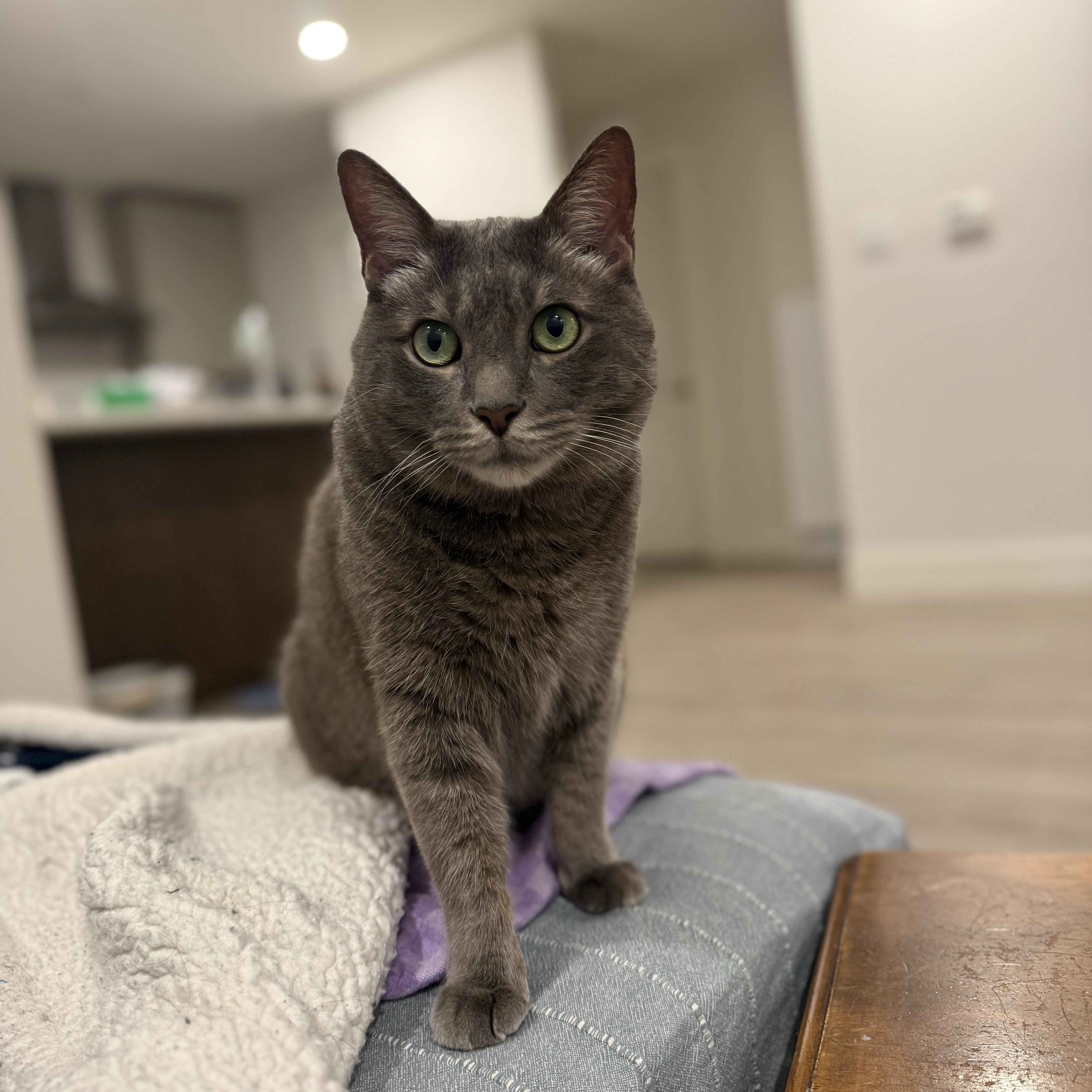 Greyson 
