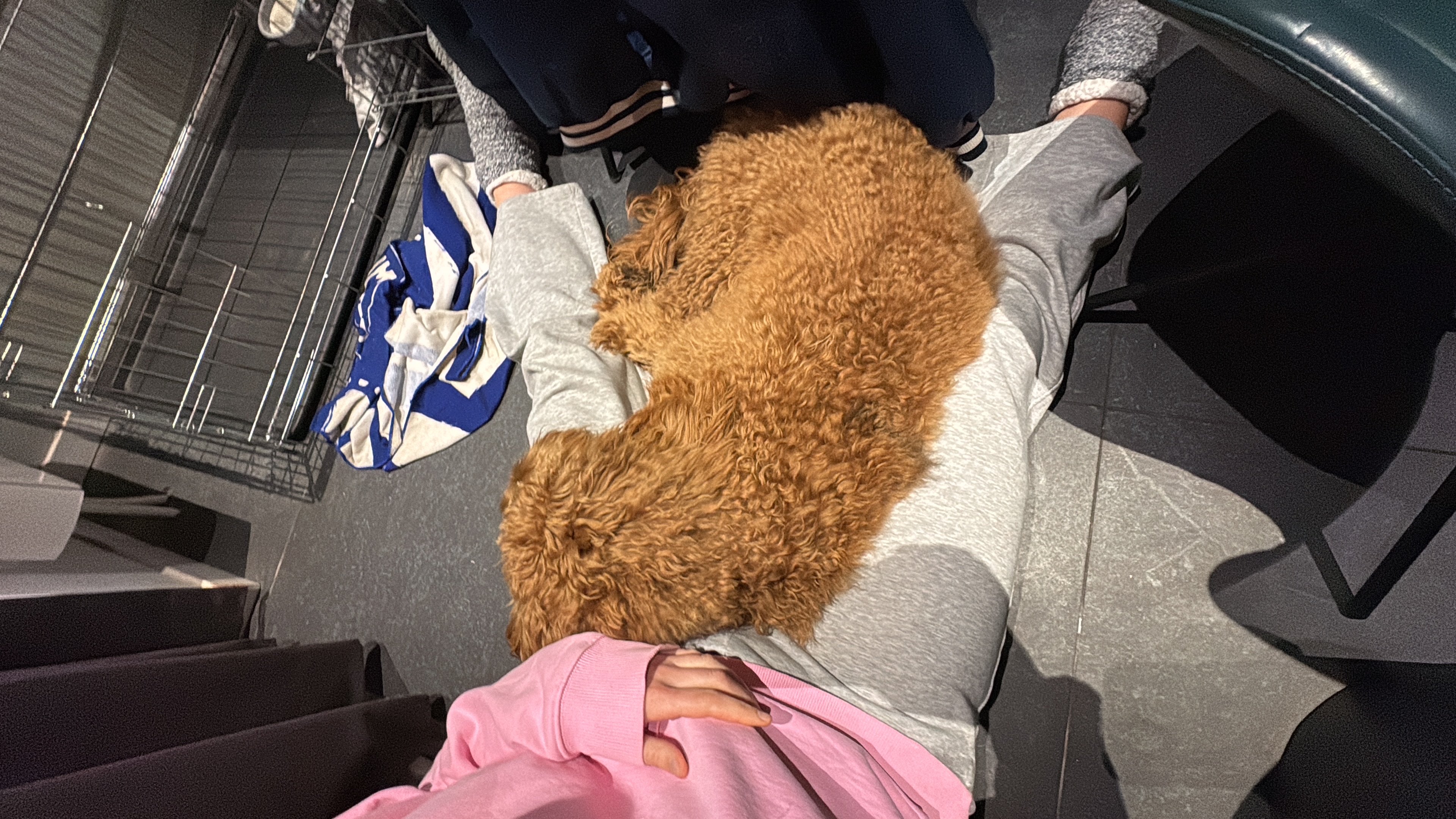 image-7