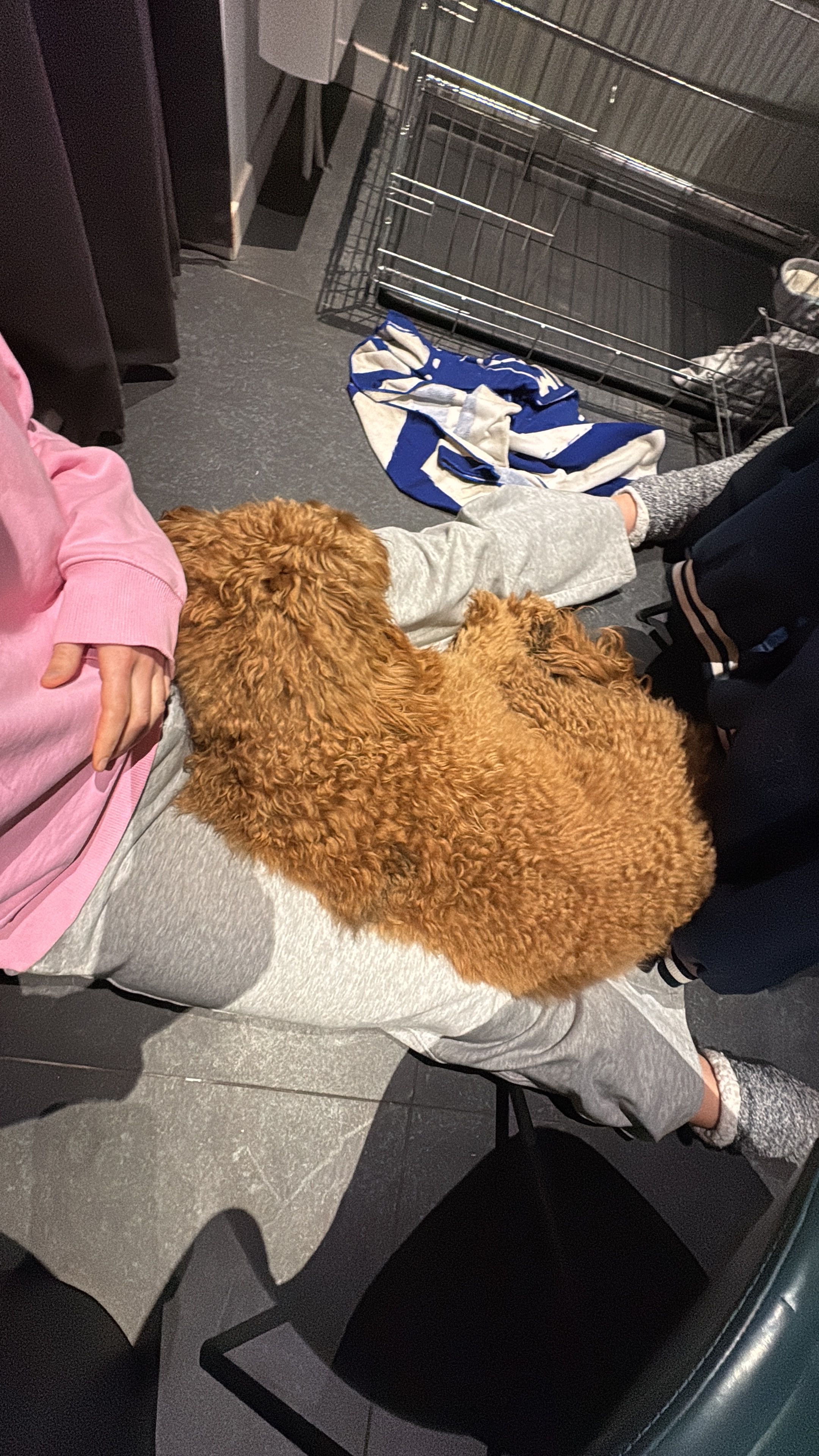image-7